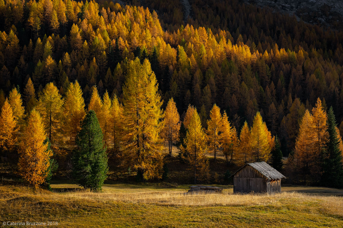 Autumn in San Nicolò