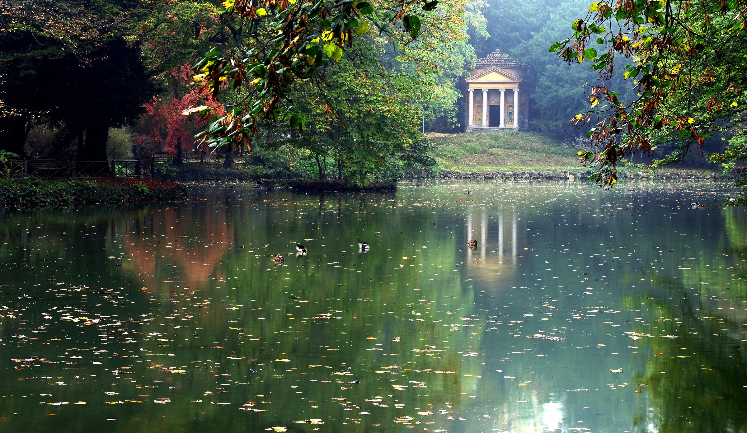 Passeggiando nel parco
