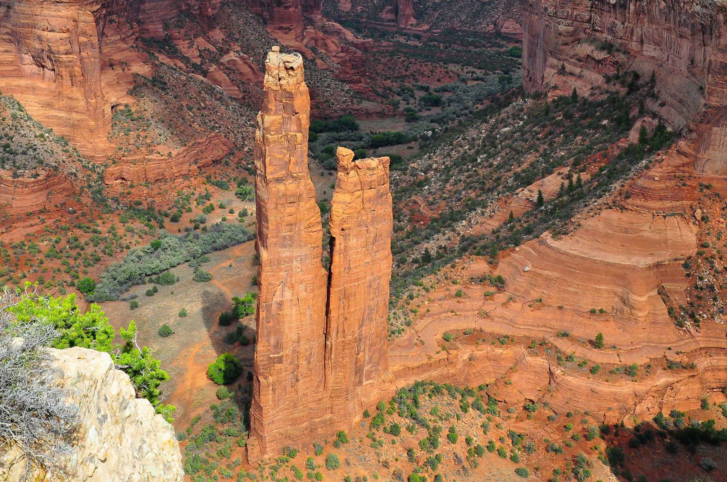 ...e il pensiero corre alla mia Bologna