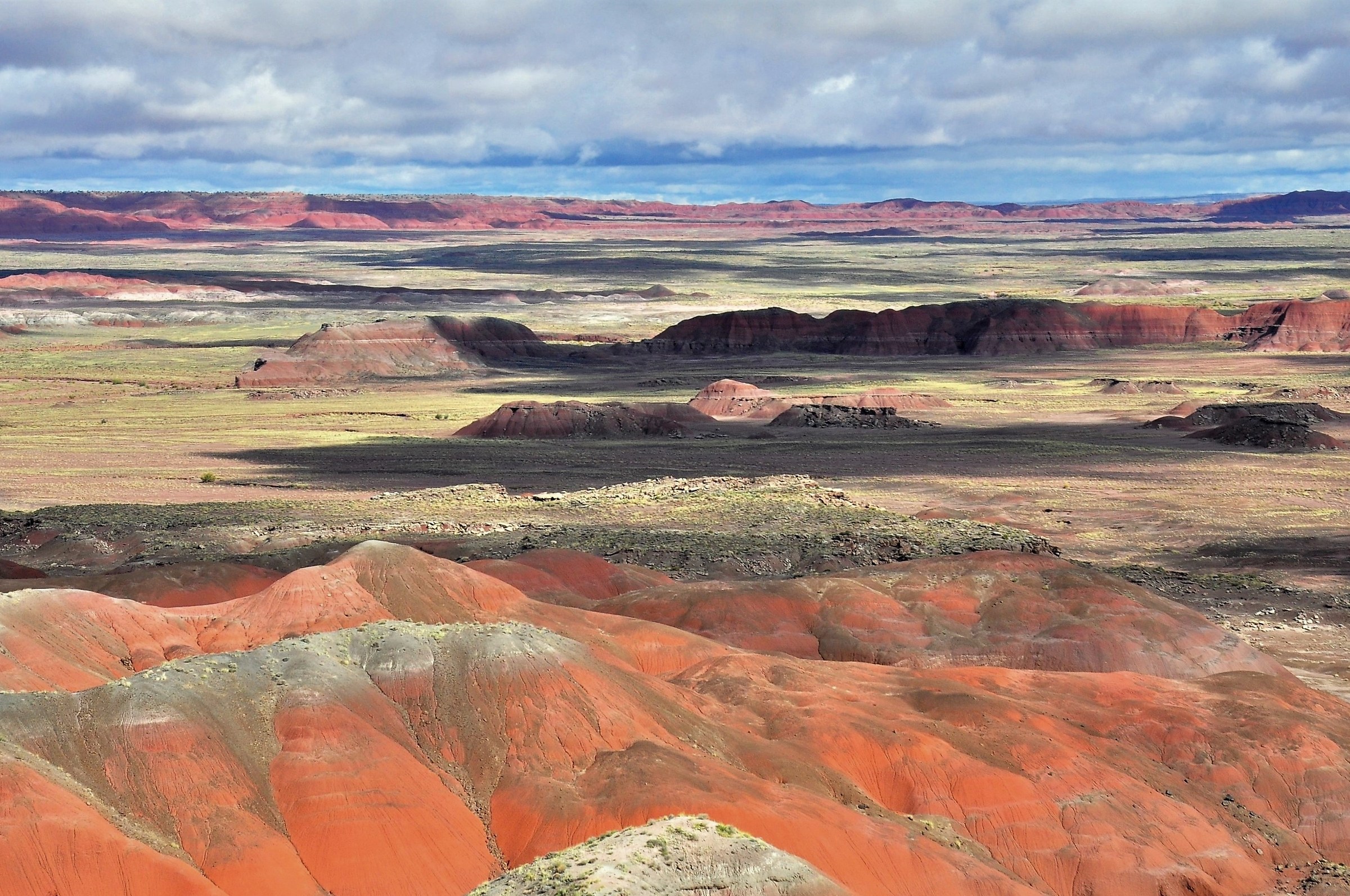 painted desert