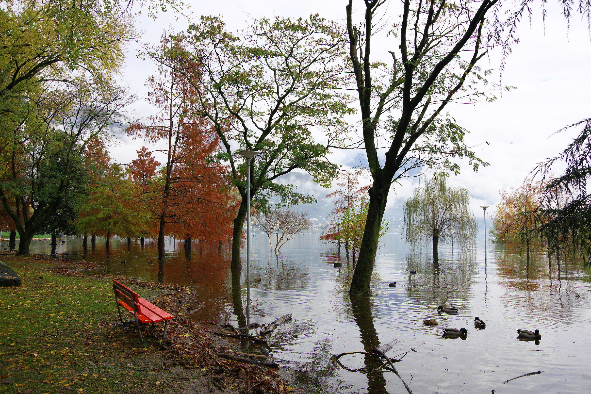 Almost with the feet to soak