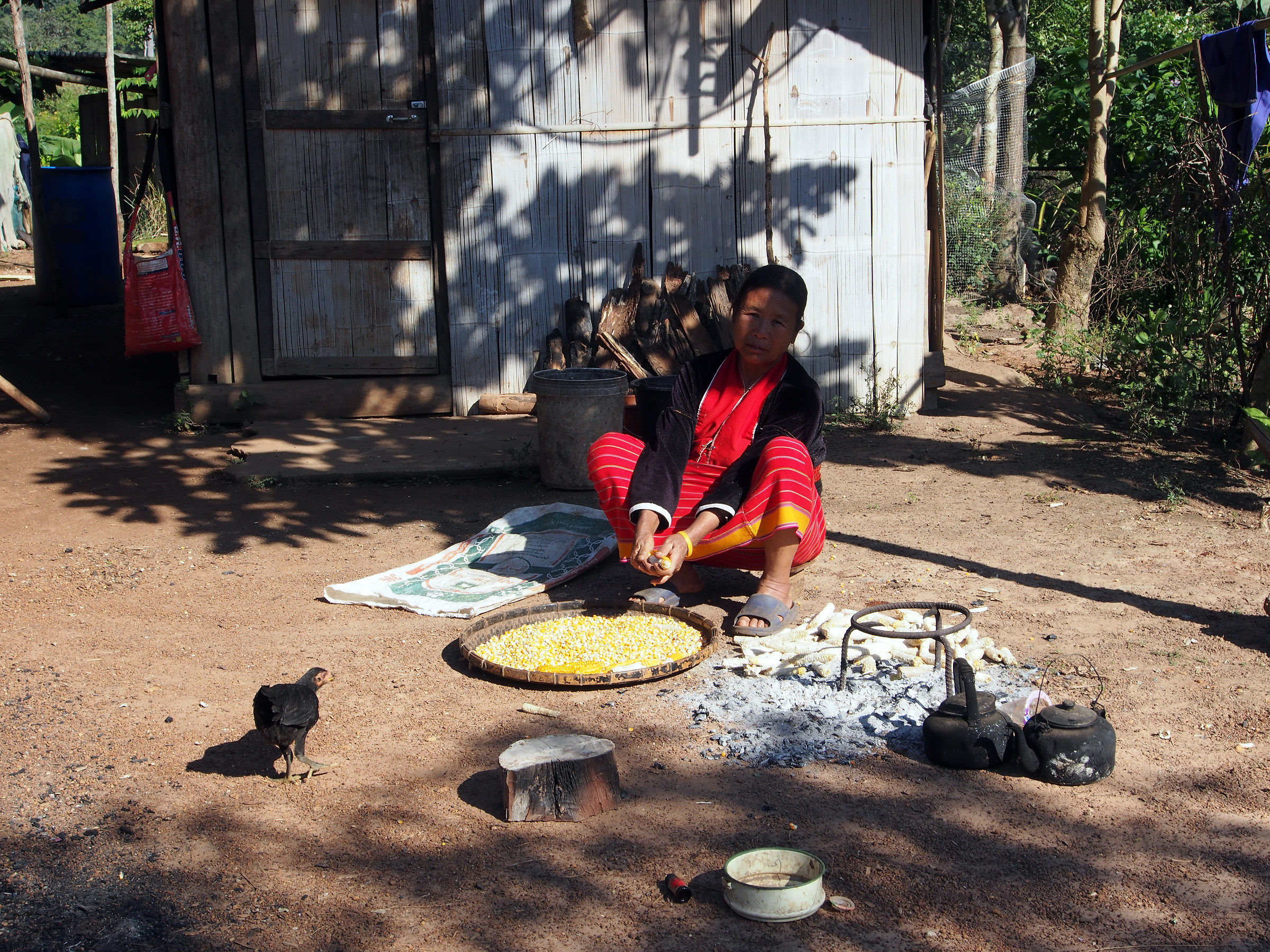 Thailandia del Nord: villaggio rurale