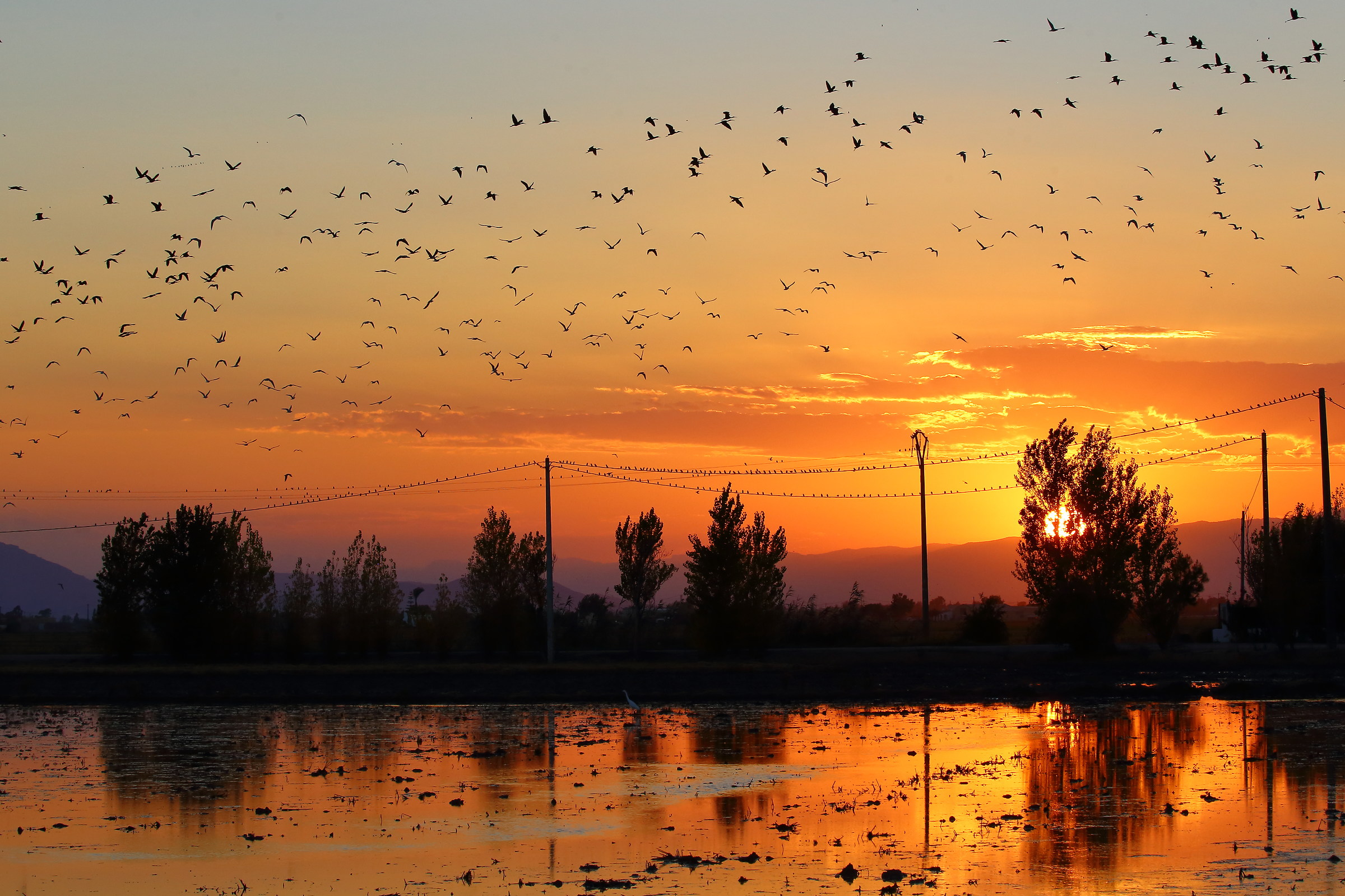 Tramonto sulle risaie dell'Ebro