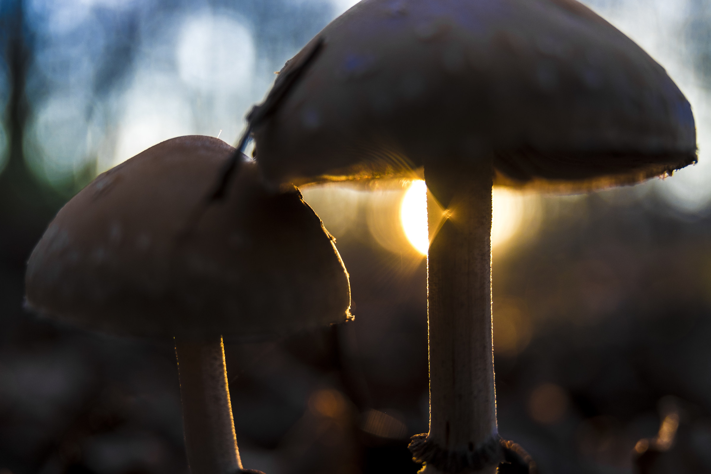 We also love to contemplate the sunset...