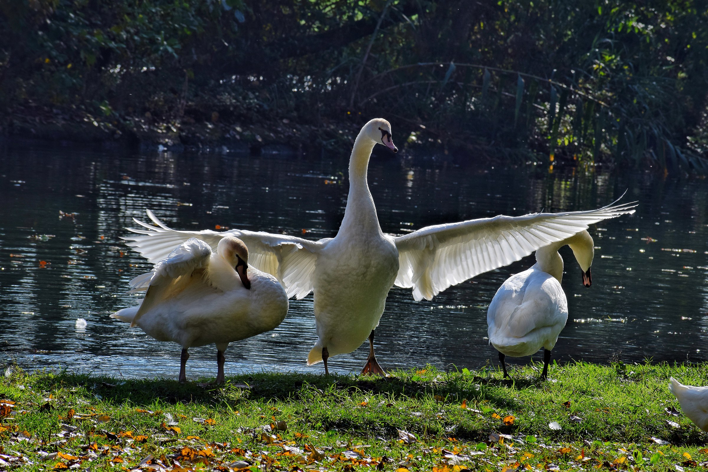 Famiglia sul fiume
