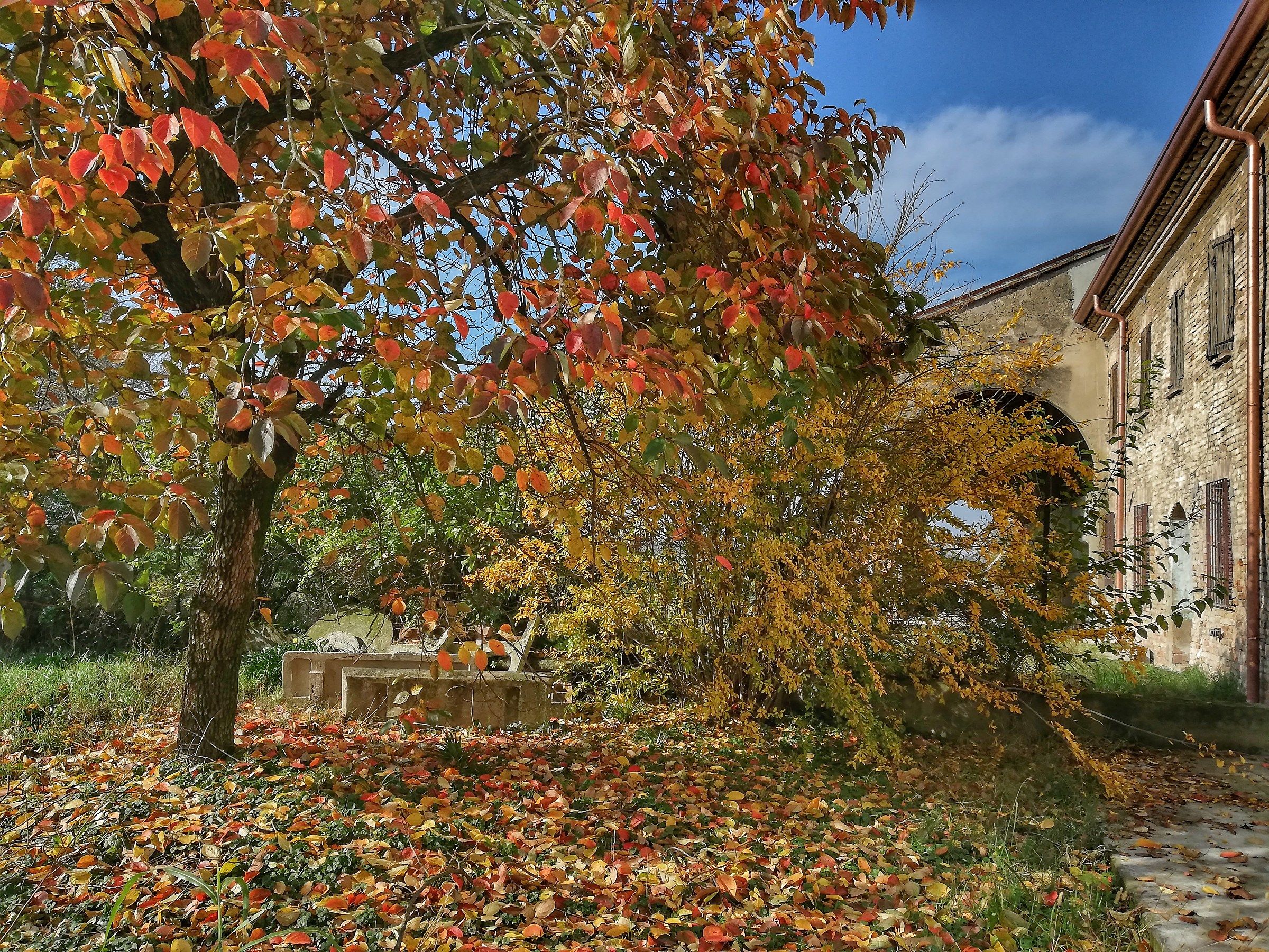 Il luogo dei ricordi