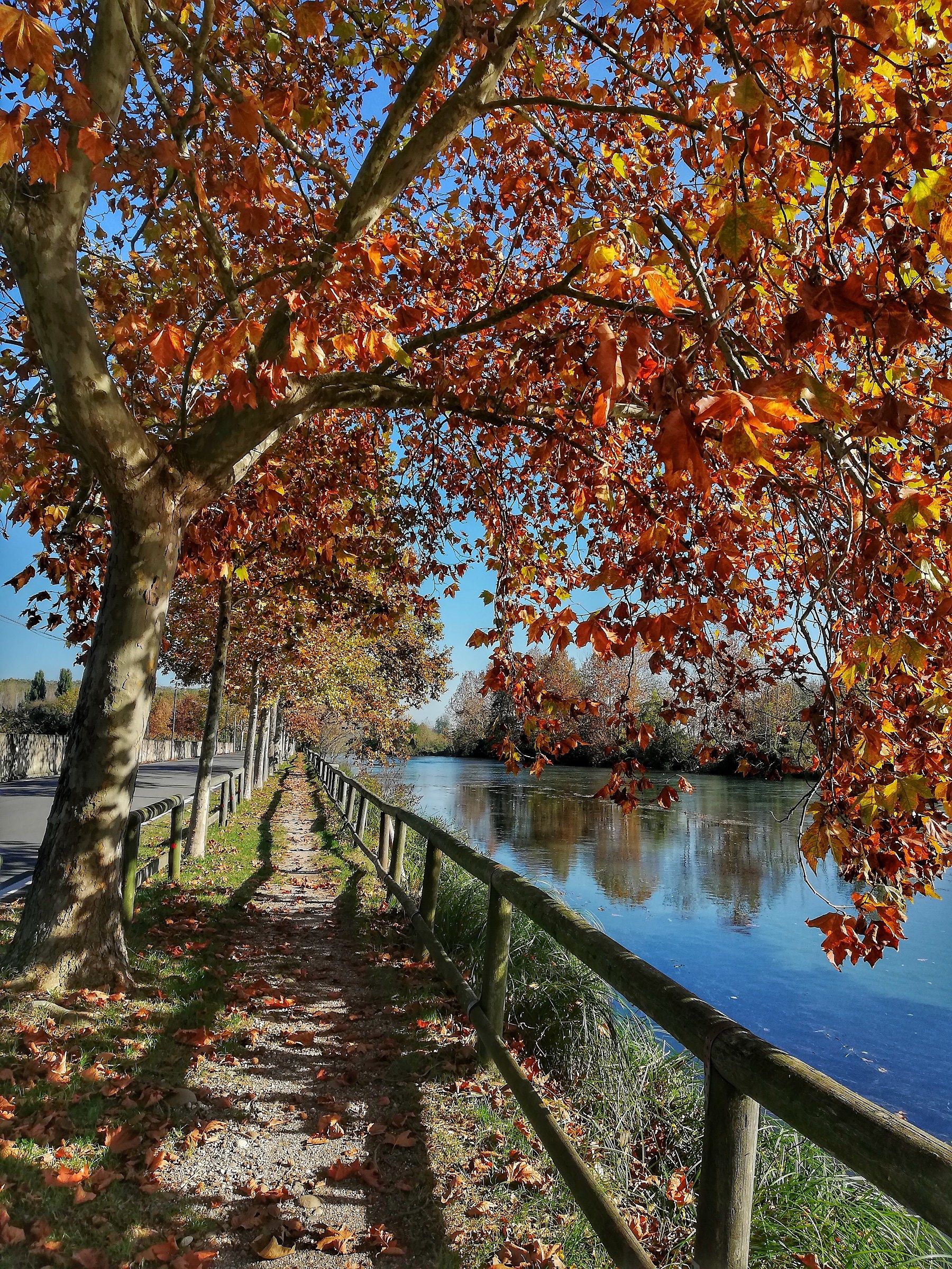Passeggiata d ' autunno