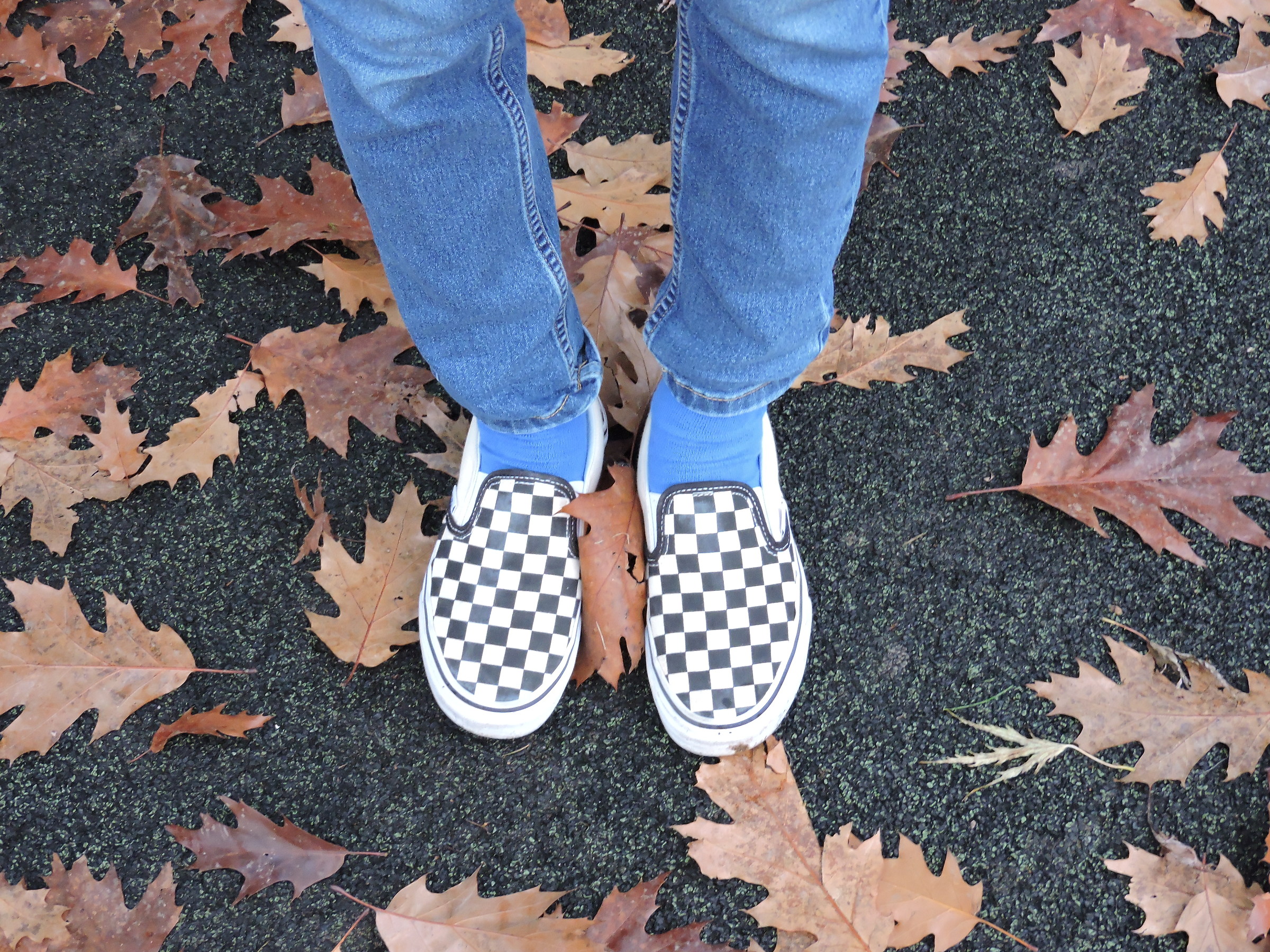 Una scacchiera di foglie