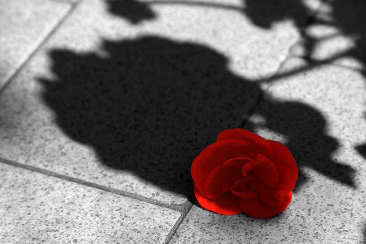 Ricordo di una passione