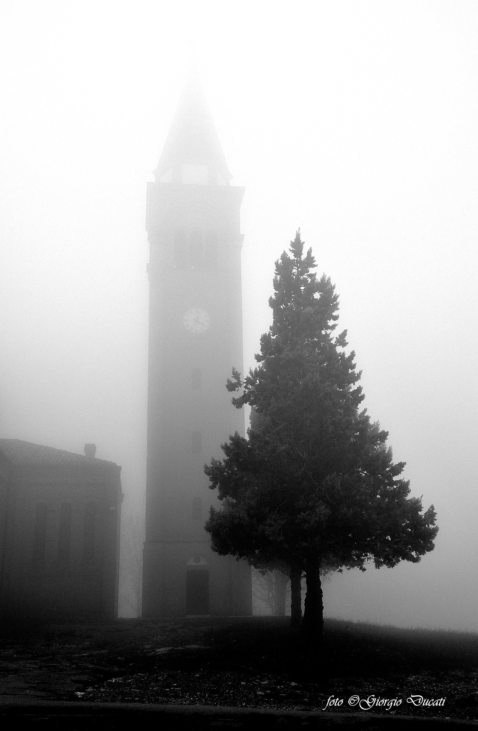 Bell tower in the fog