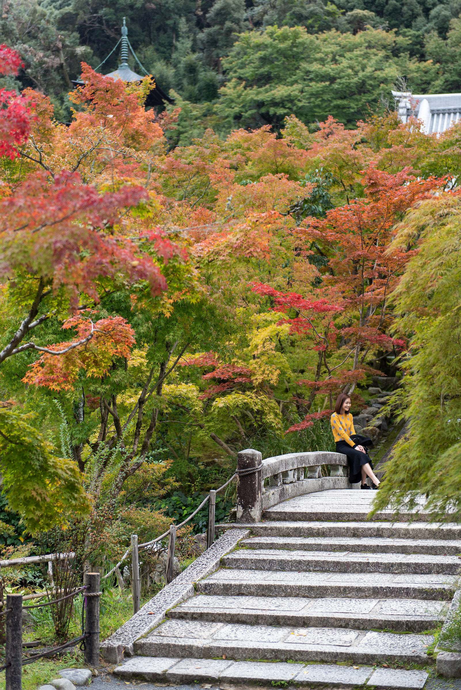 Autumn in kyoto