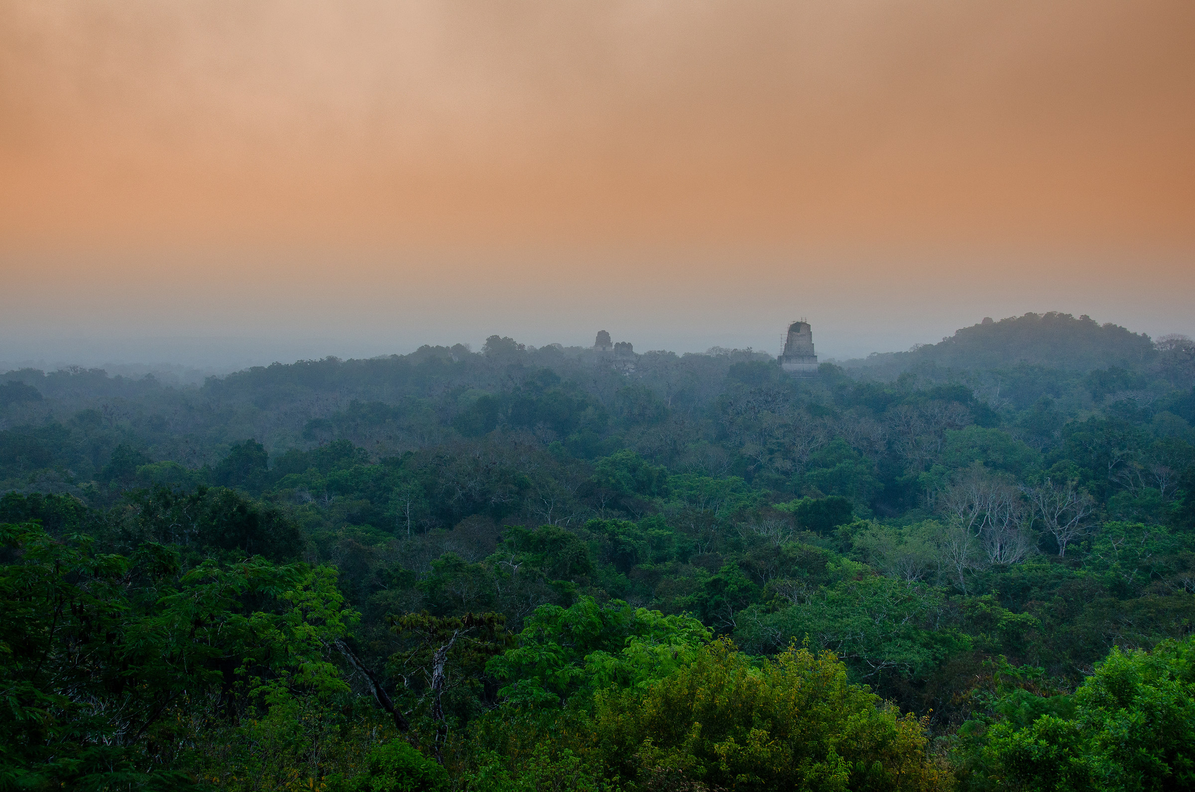 Sunset on the Jungle
