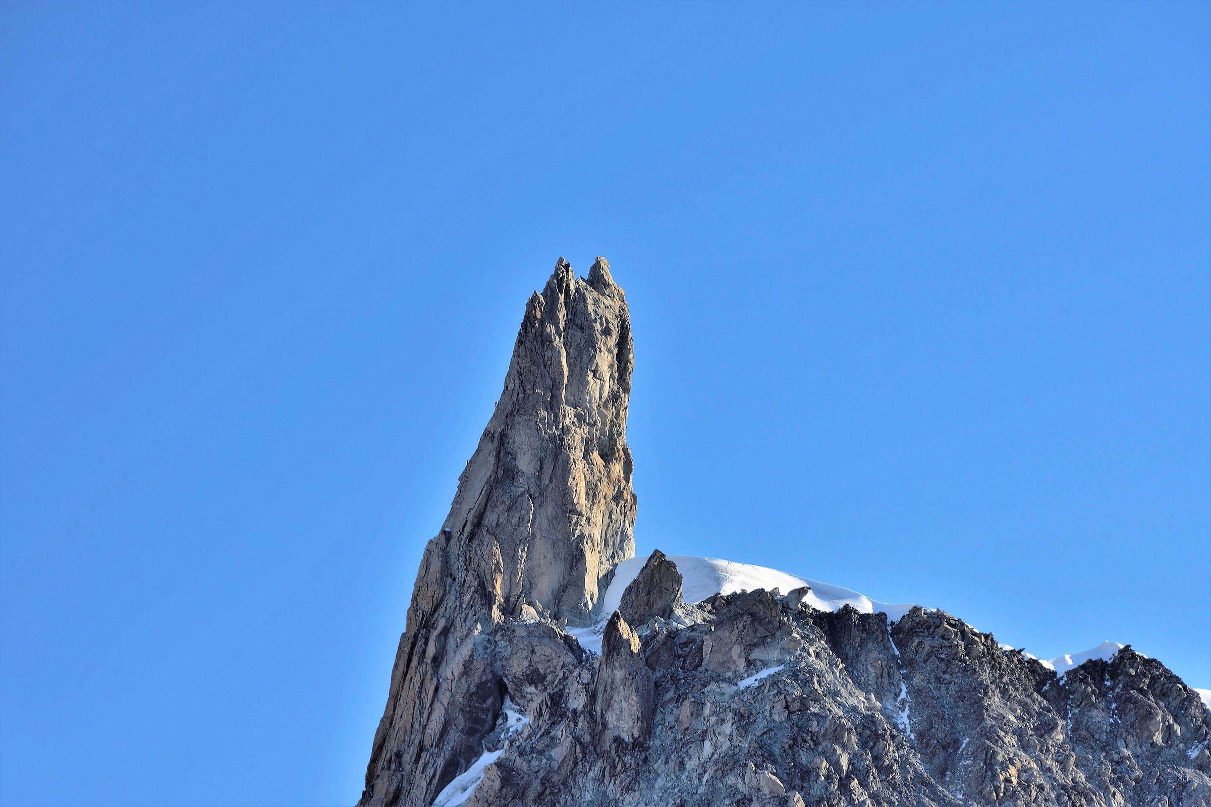 The tooth of the giant m 4014