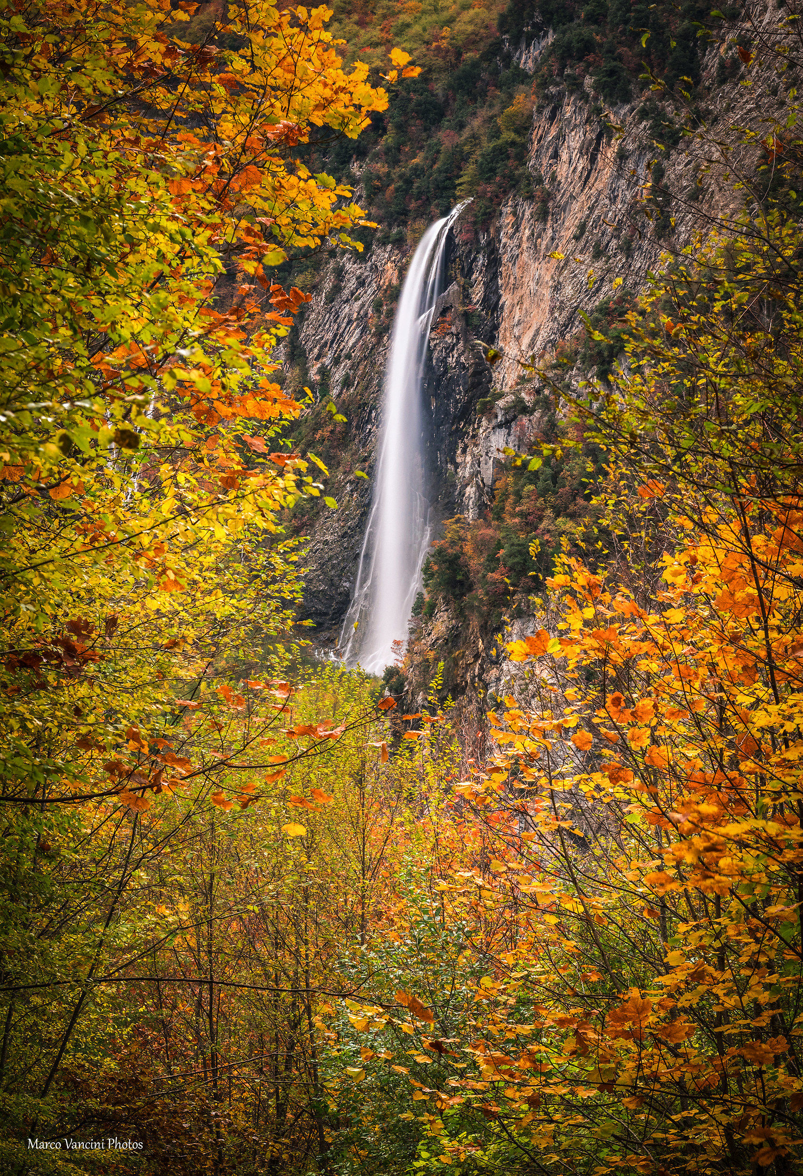 Nel bosco, in autunno
