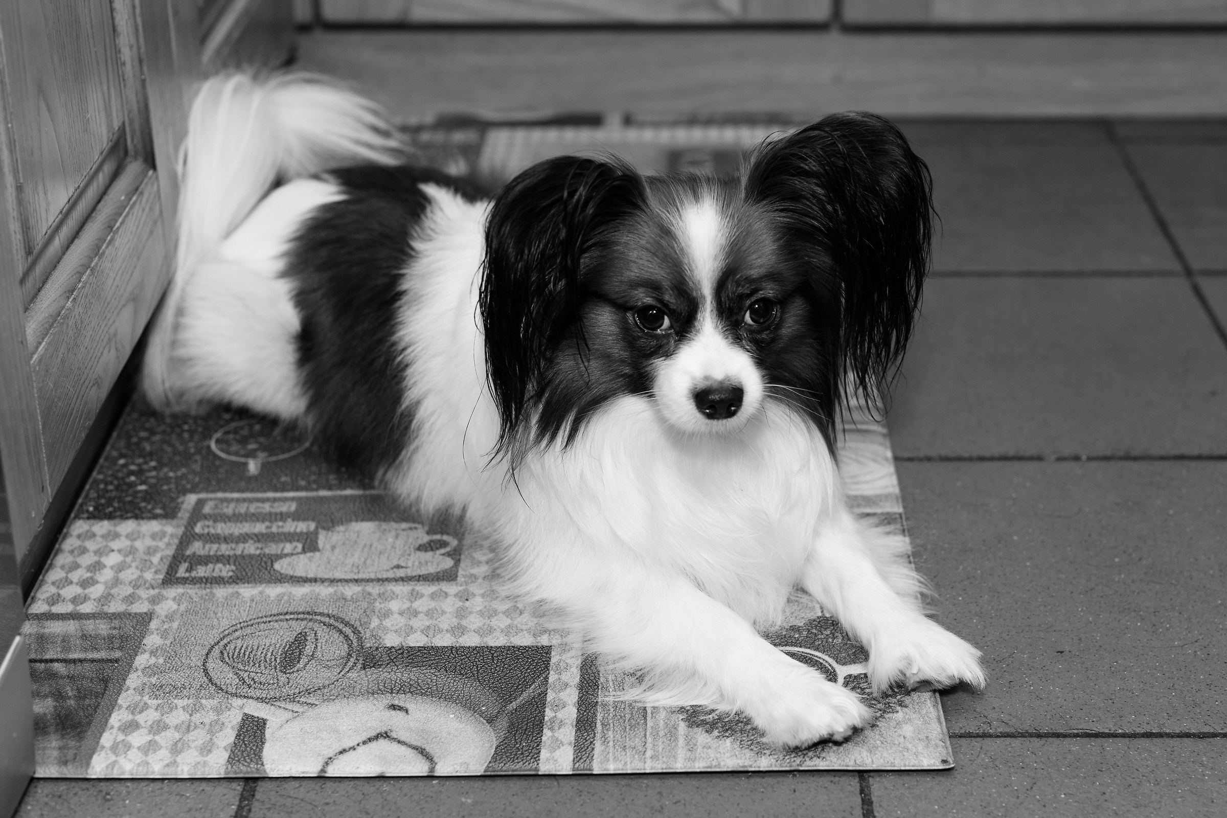 Black and white test