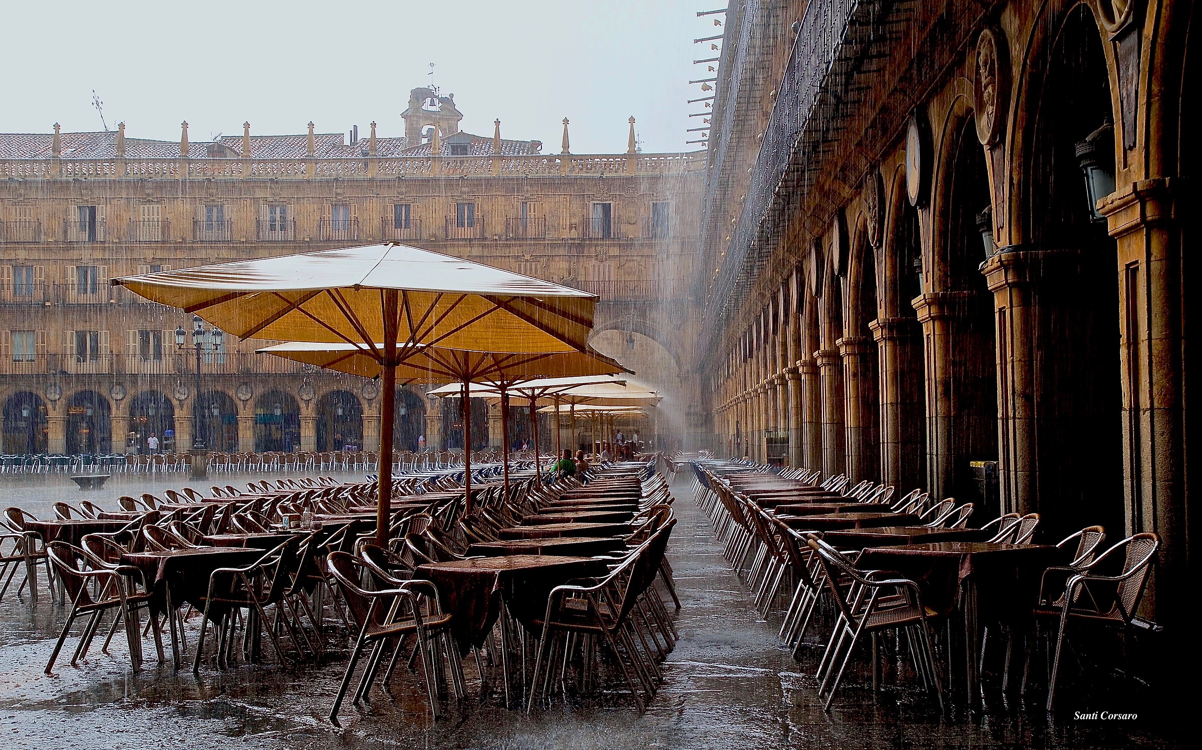 And everything else is raining. The color