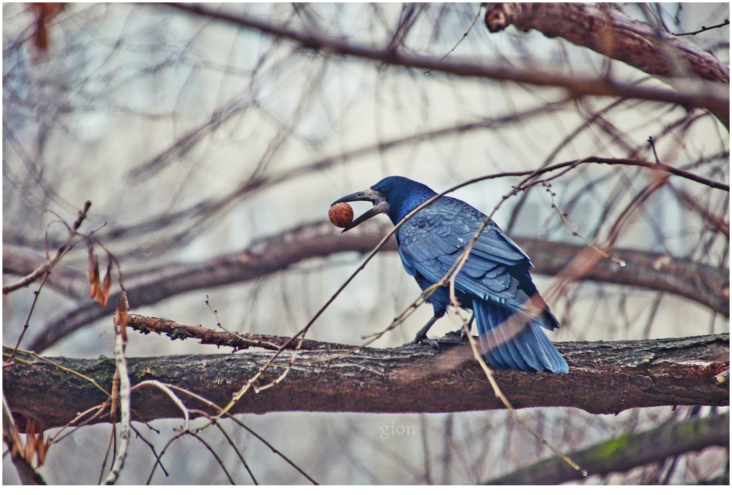 Sparato dalle mie finestre