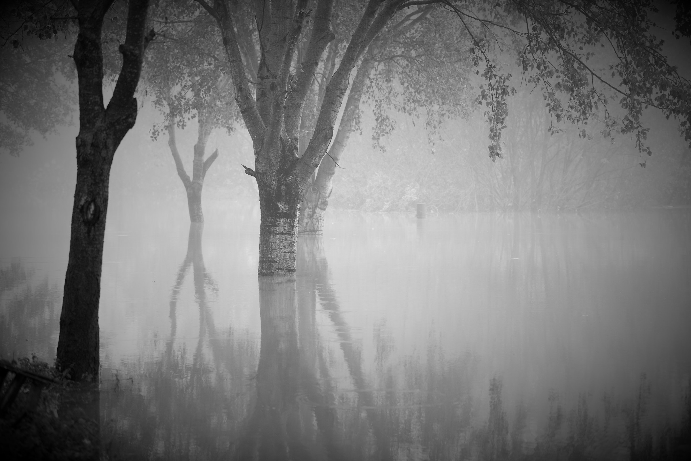 Il grande fiume Po in piena e il vecchio pescatore