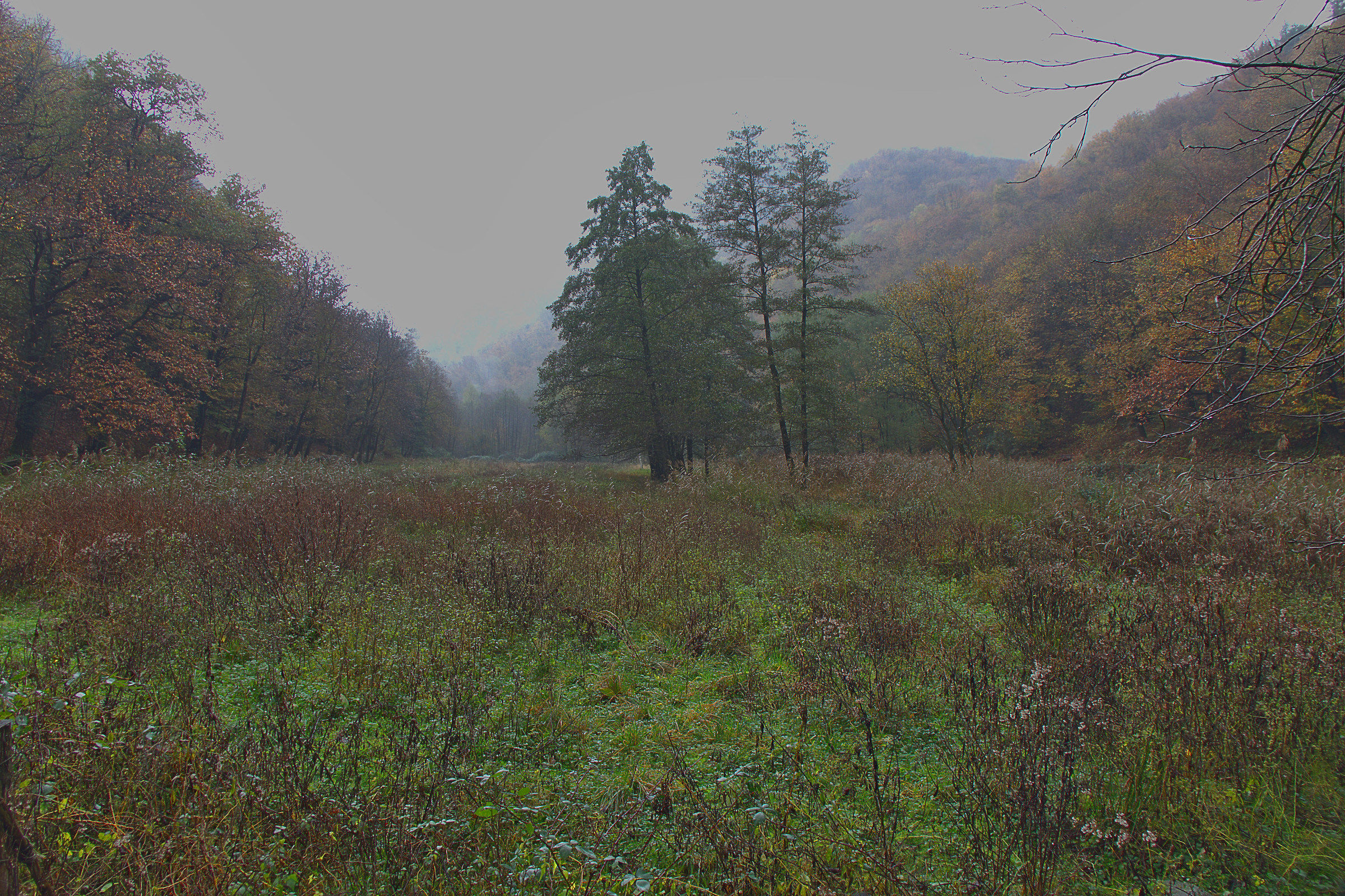 November second version