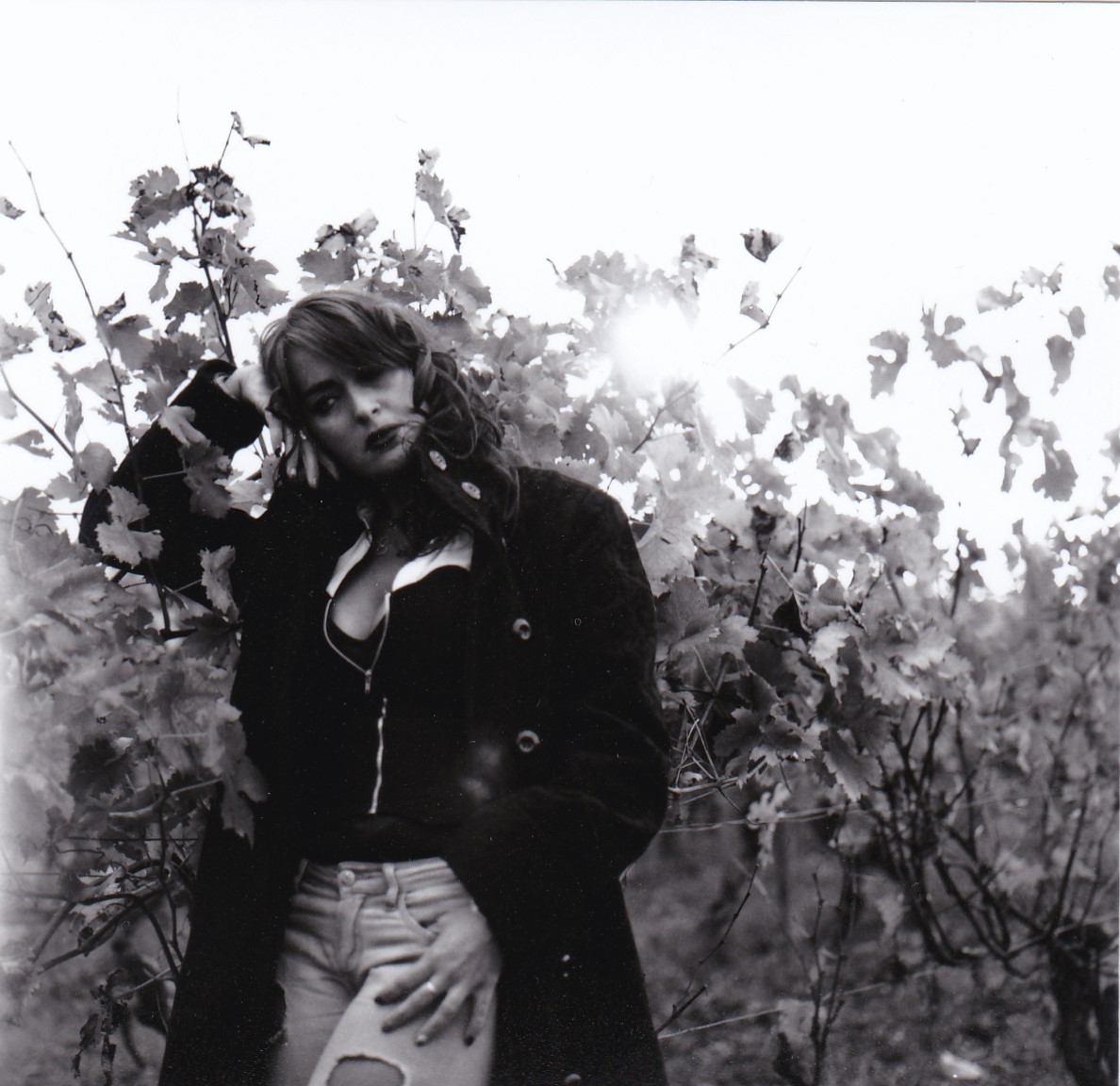 Elisa...analogica....