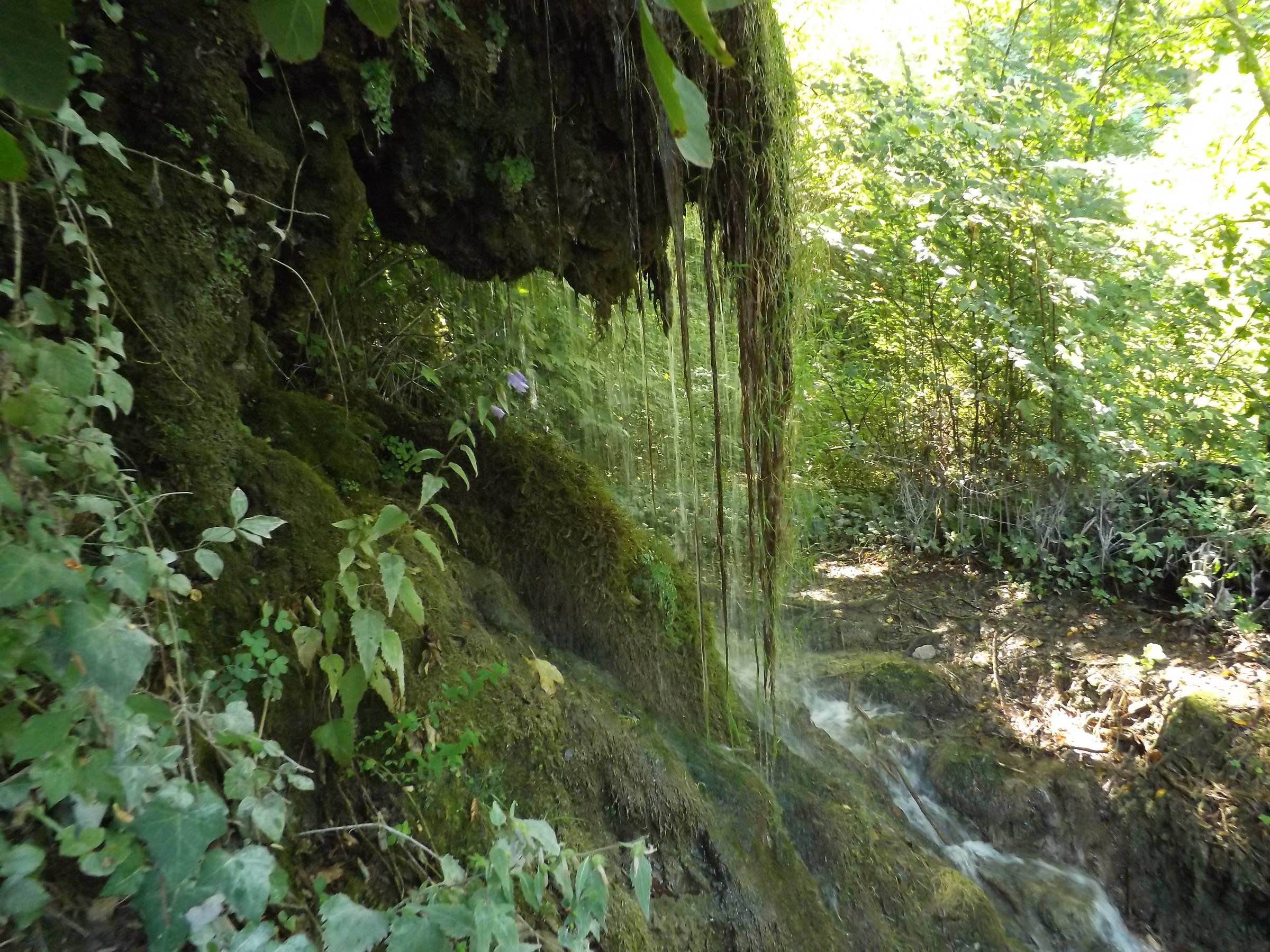 Marmore Waterfalls-vegetation foreshortening