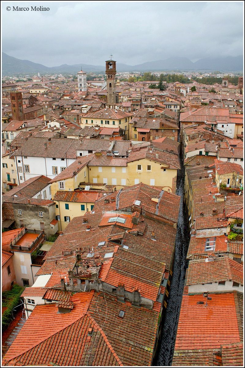 Lucca, Panorama dalla Torre Guinigi