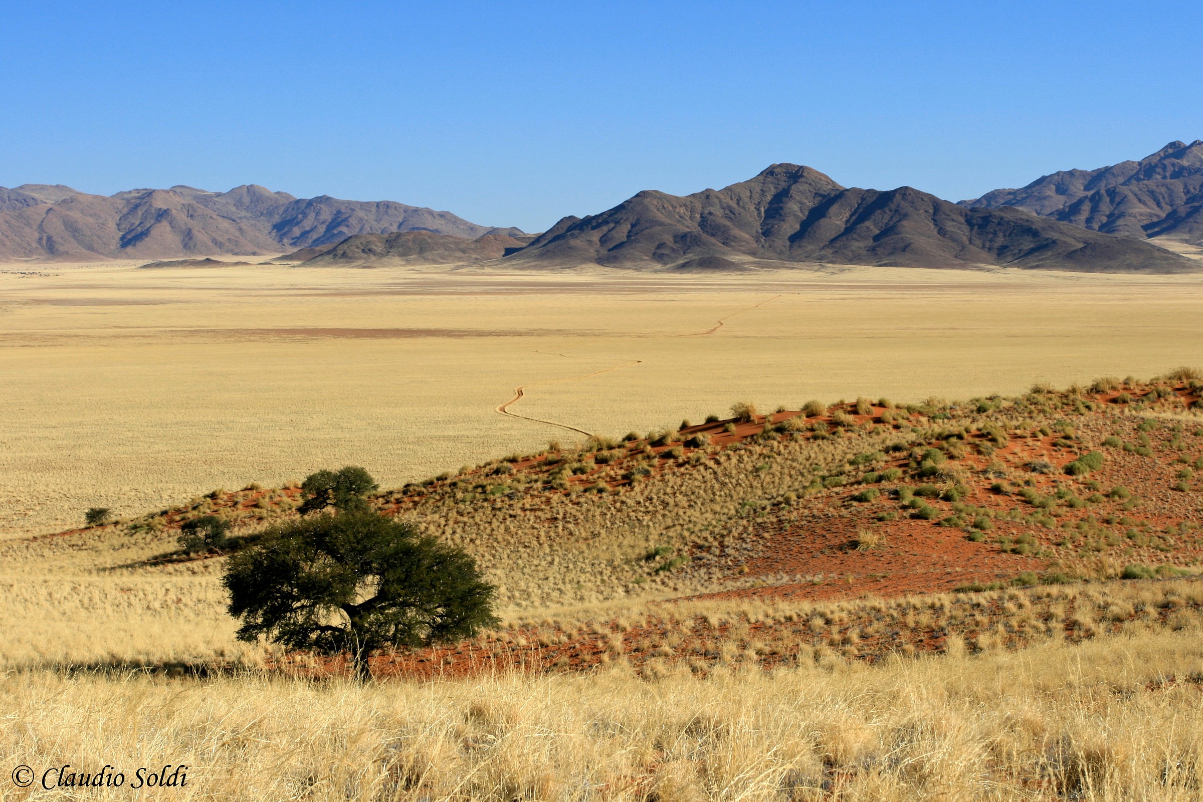Spazi infiniti - Namib Rand Nature Reserve