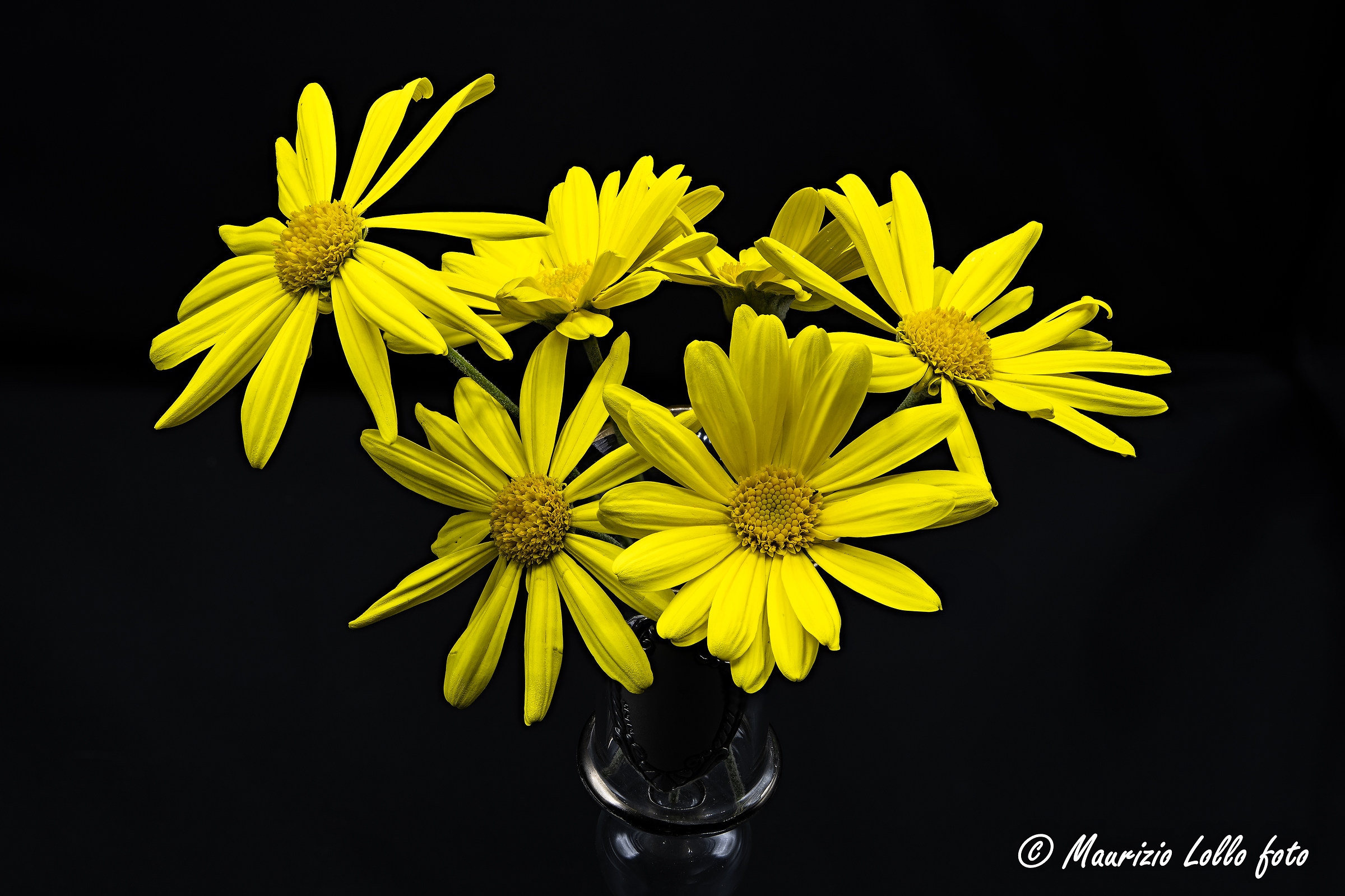 Prova focus stacking