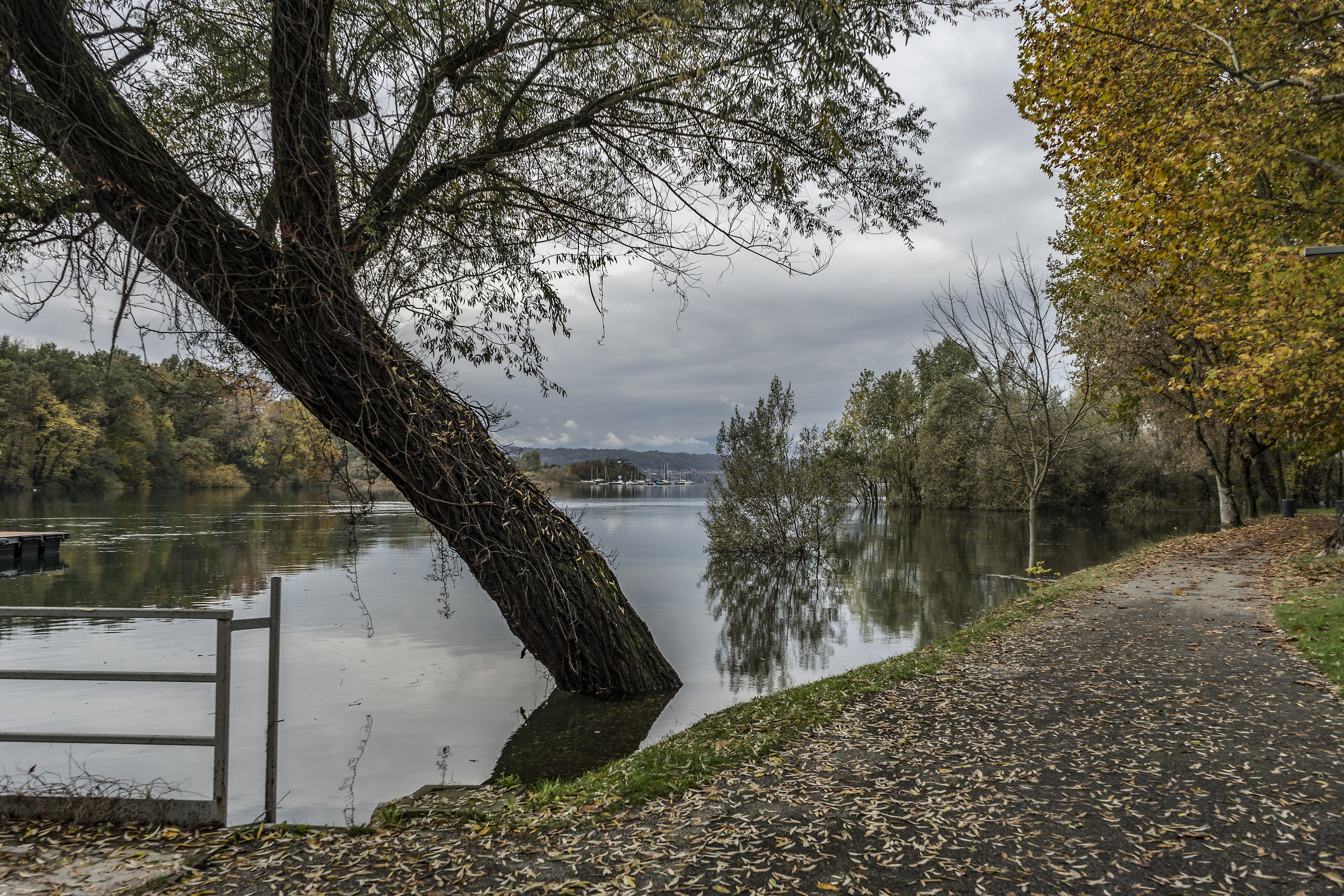 Thursday, November 8, 2018, 11:39