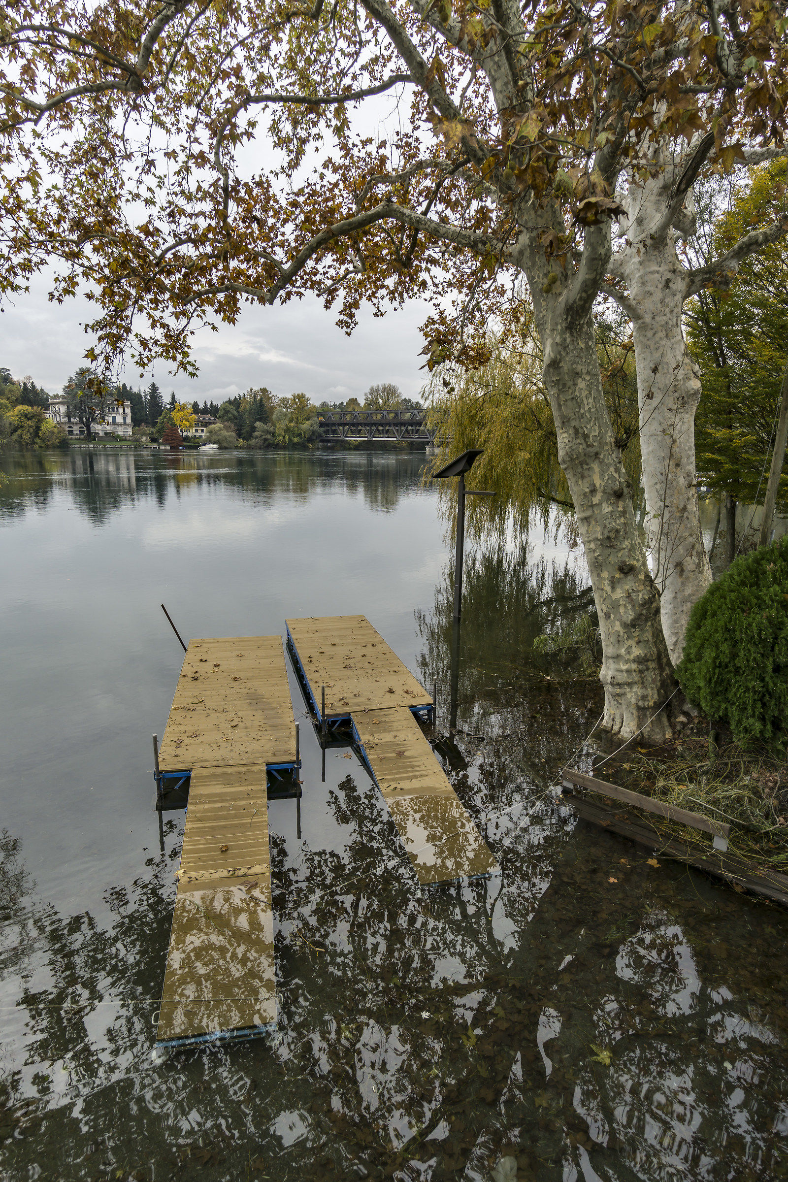 Thursday, November 8, 2018, 11:46