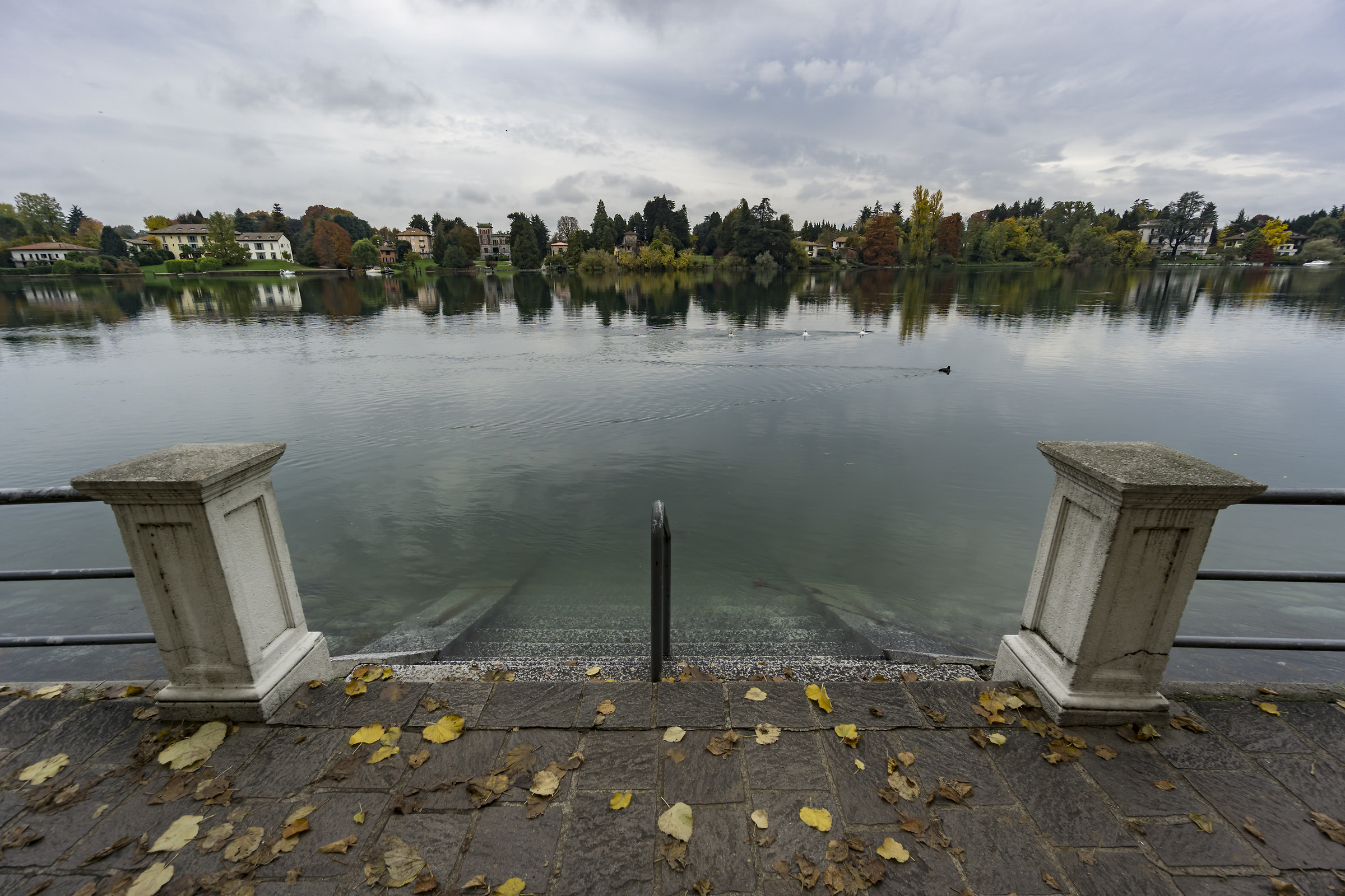 Giovedì 8 novembre 2018, 11:51