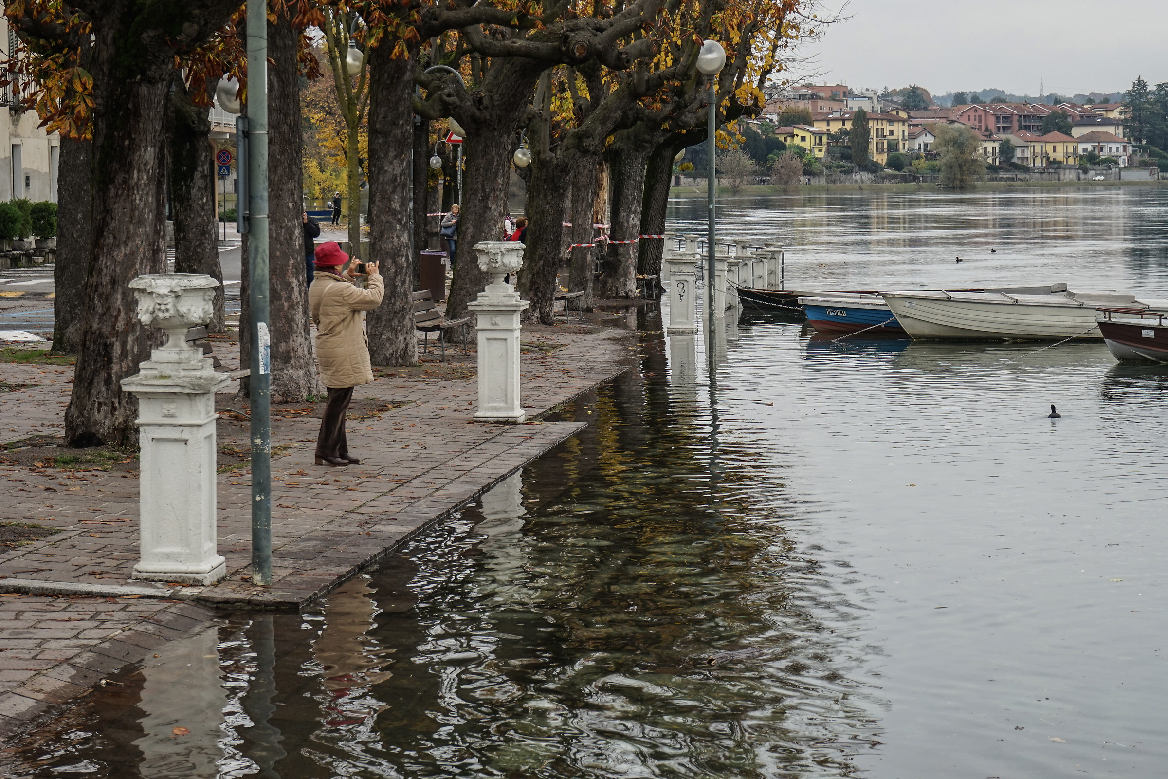 Giovedì 8 novembre 2018, 12:02:24