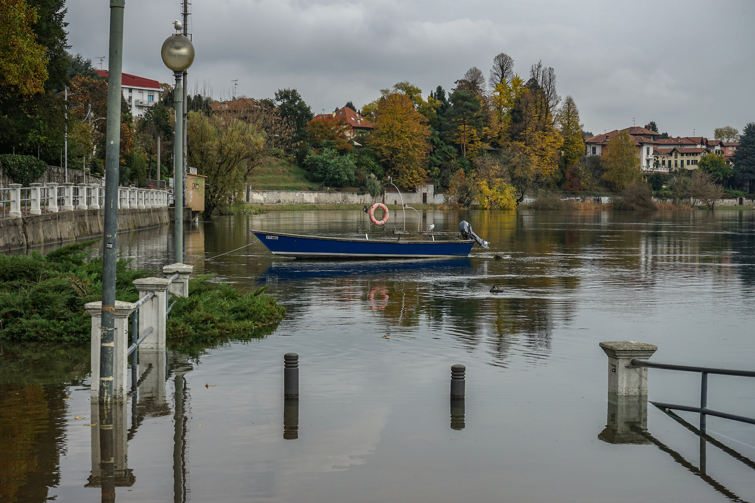 Giovedì 8 novembre 2018, 12:13