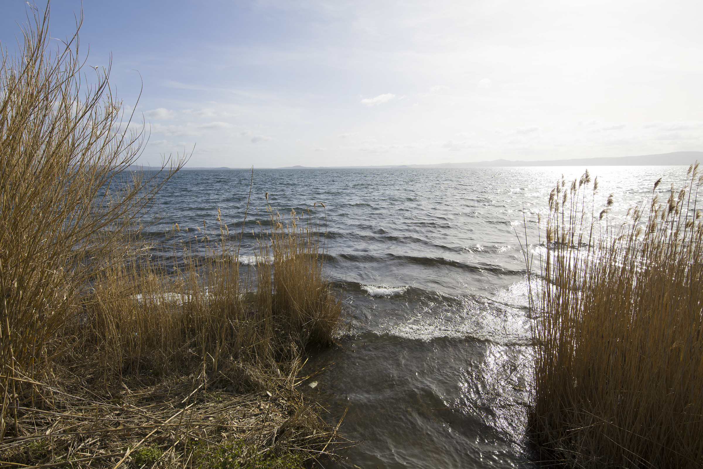 Il lago oltre le canne