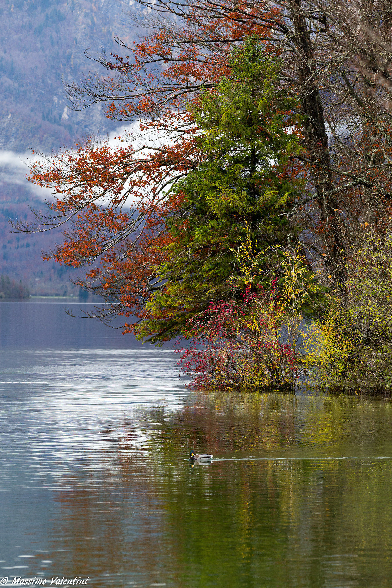 Lago Bohinj