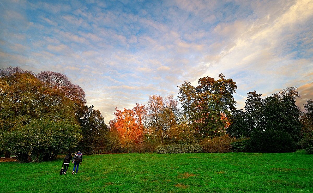 in the evening in the park (the sky above Milan)