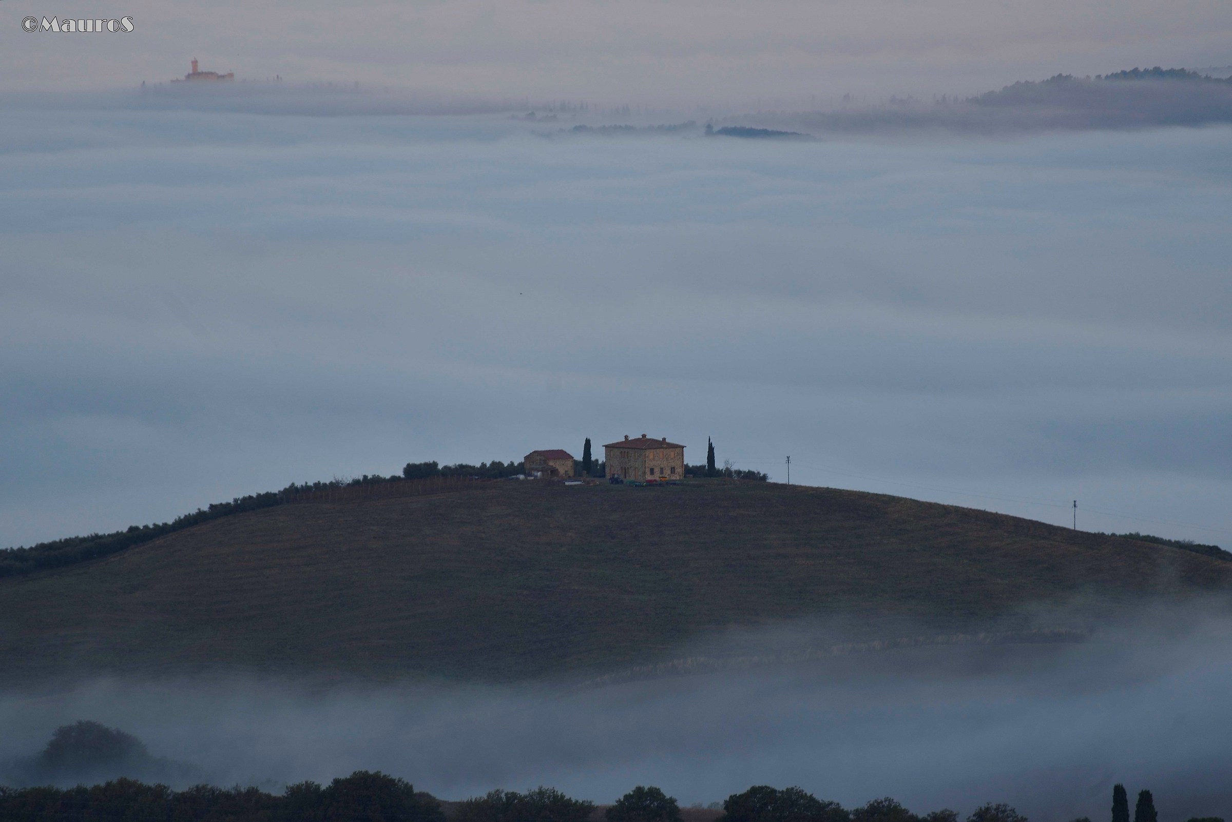 Fog in Maremma