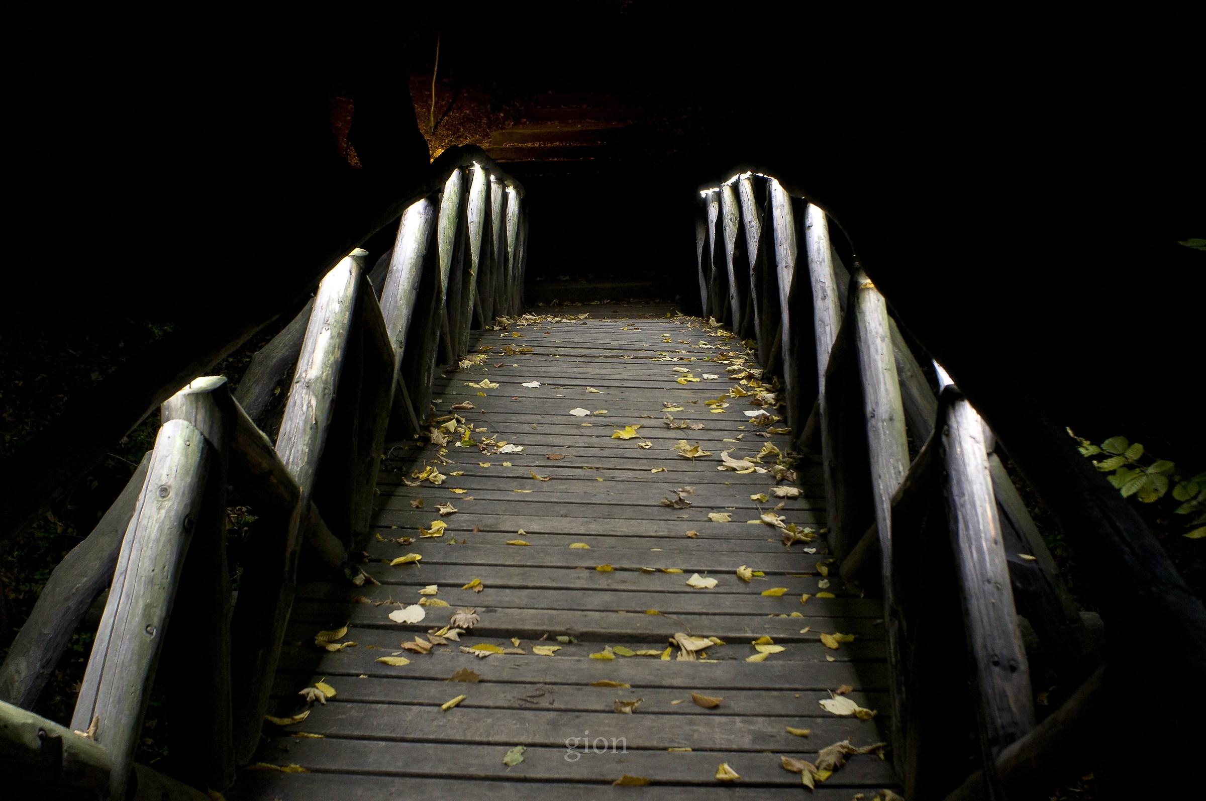 The footbridge towards an unknown territory