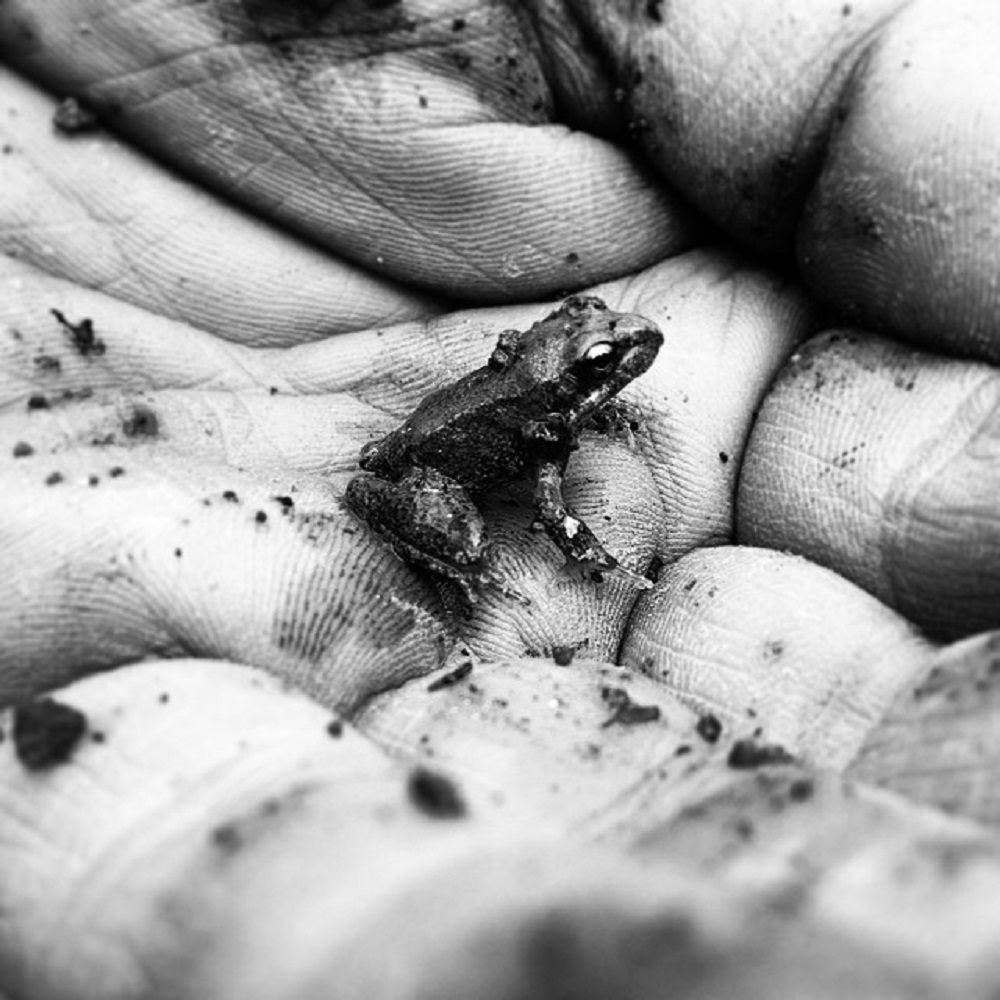 Il poco conta, il nulla non fa testo...save the frog :)