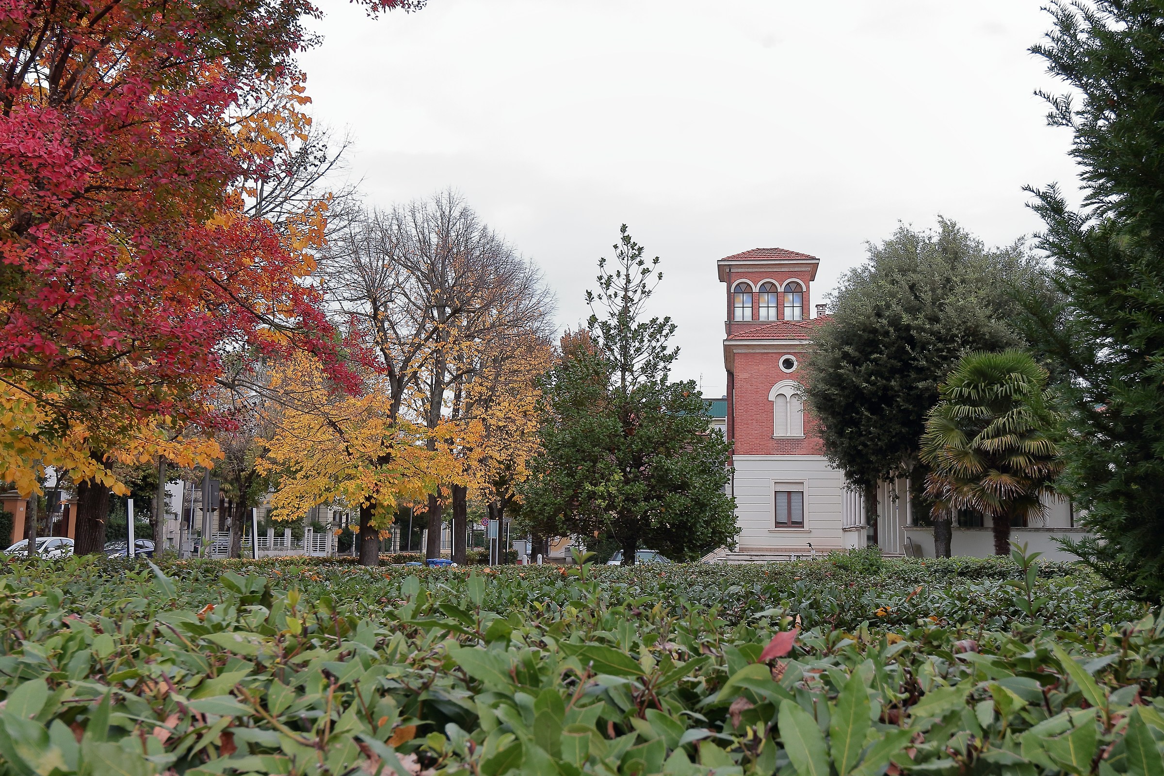 autunno oltre la siepe