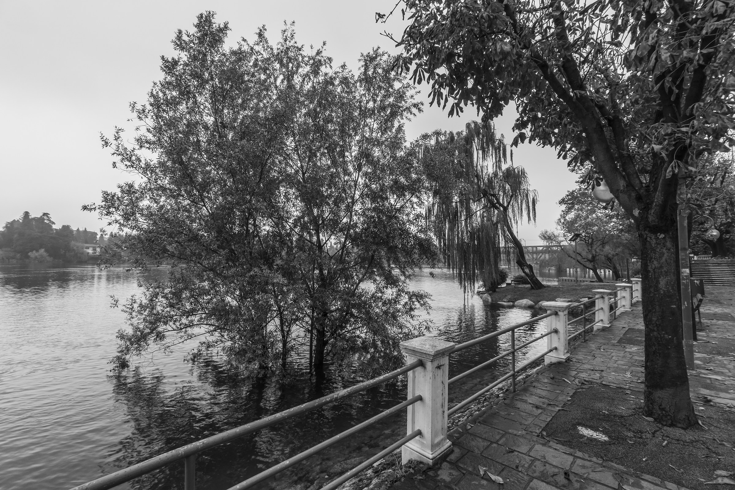 Domenica 11 novembre 2018, 11:39