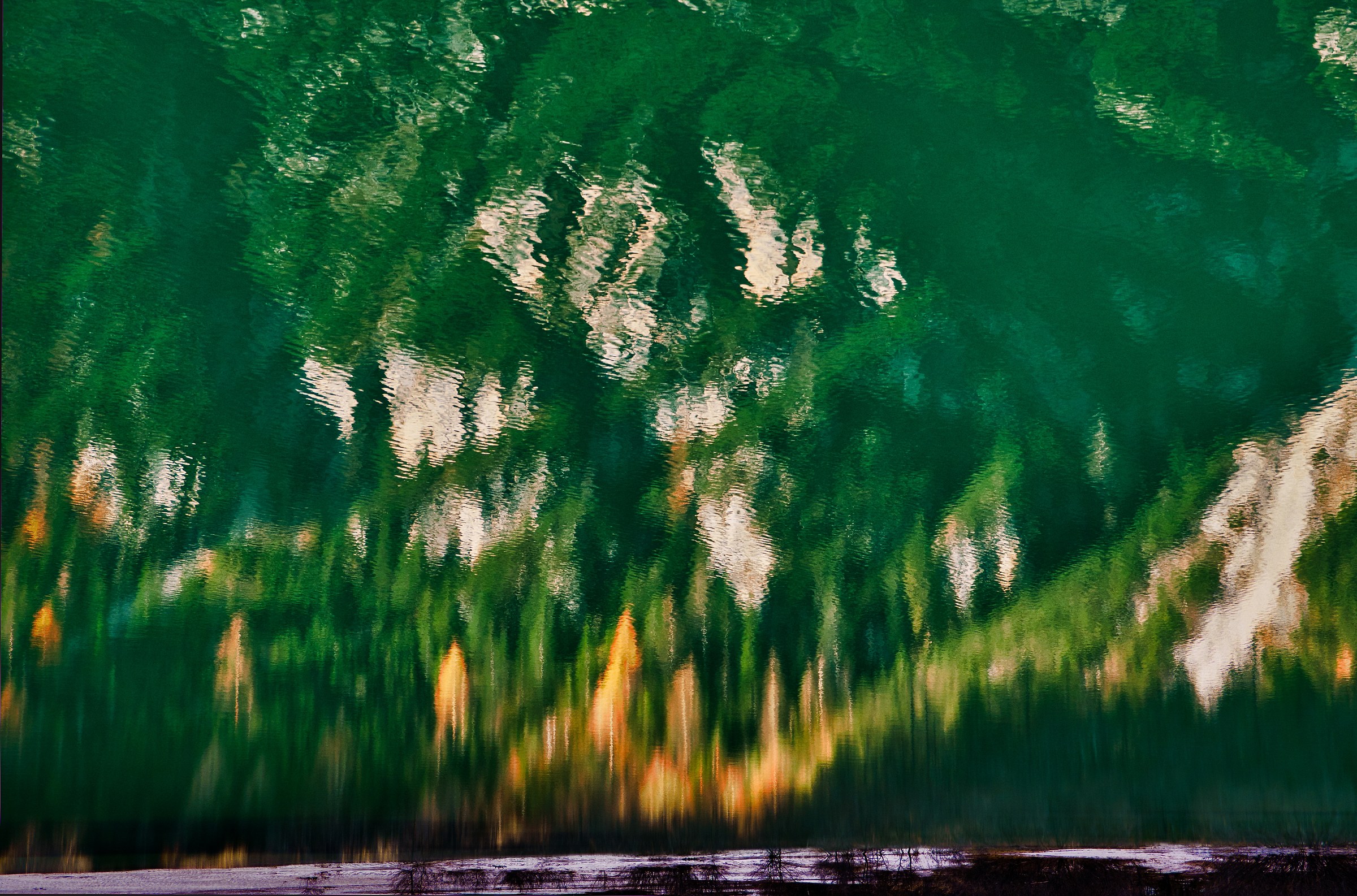 Reflections in the Lake