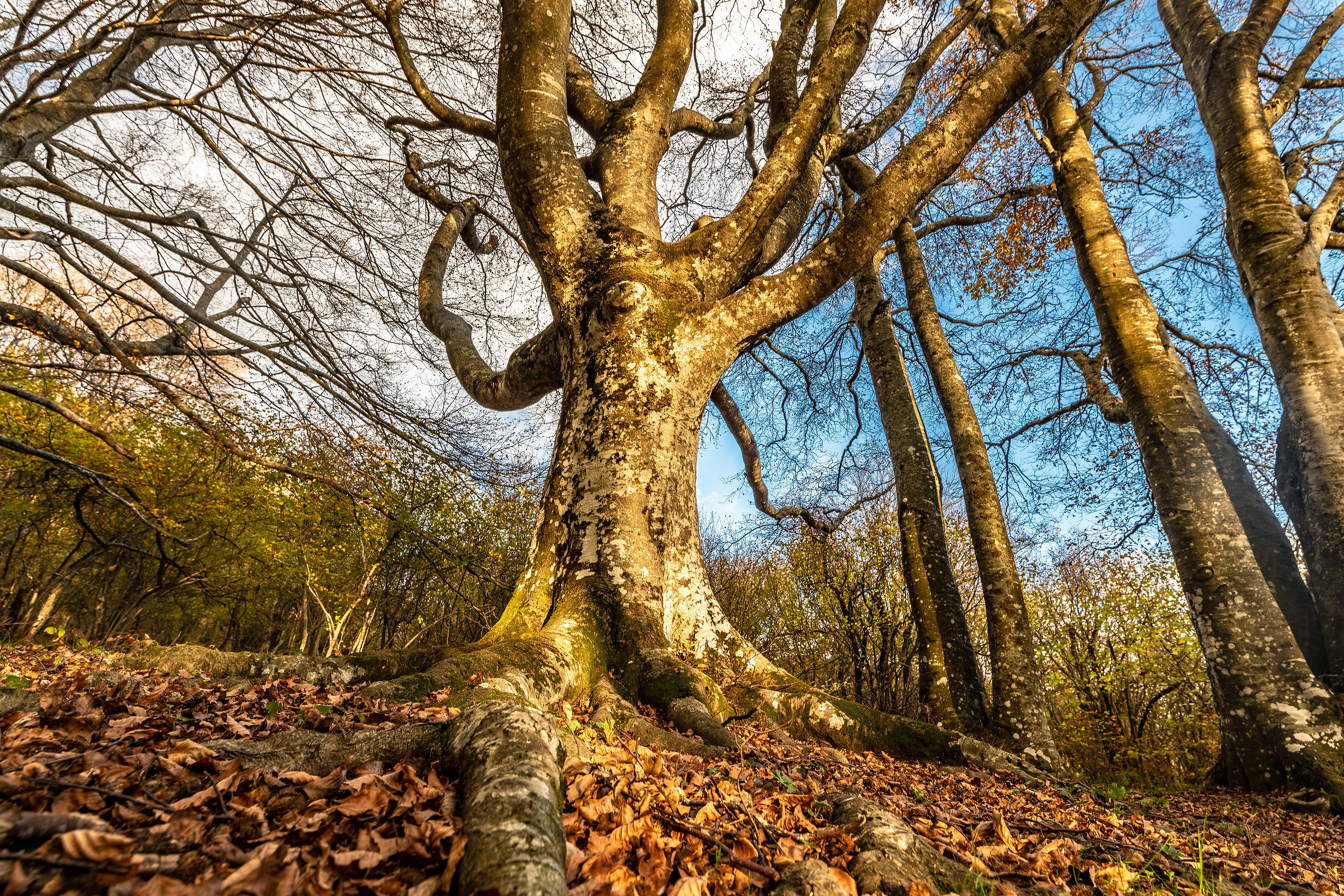 Una luce prima del buio...