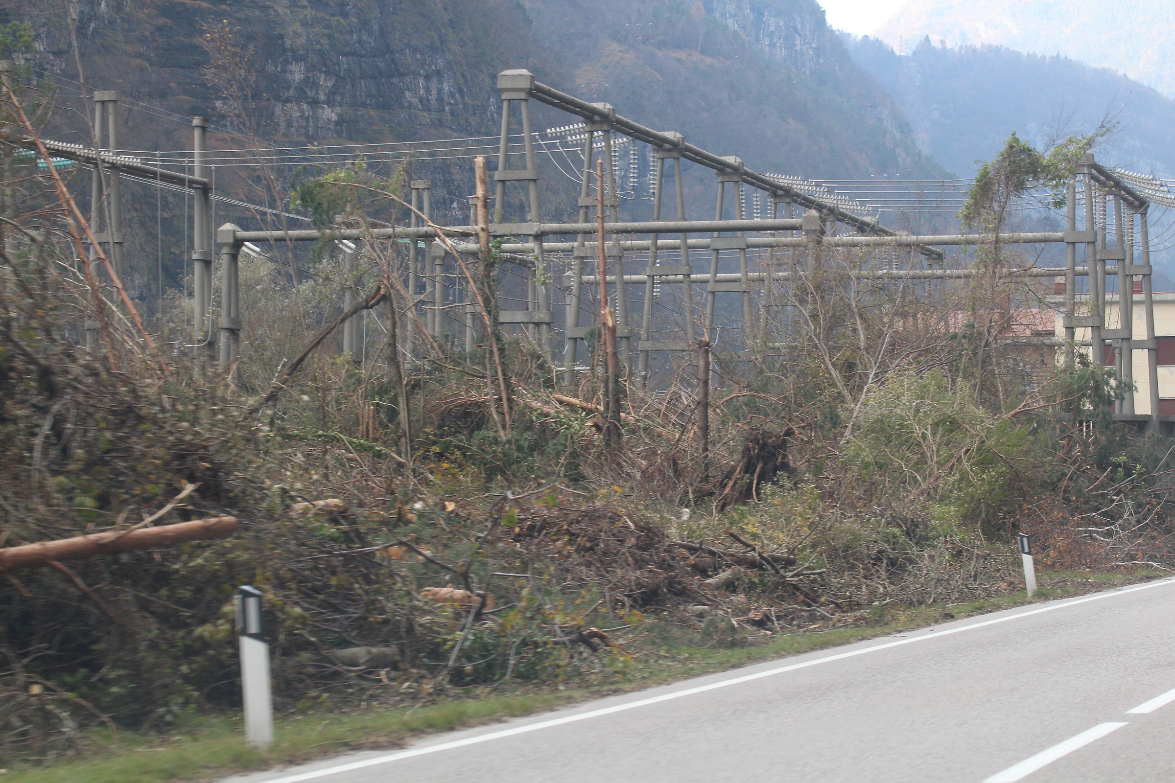 Alberi caduti e raccolti vicino centrale elettrica
