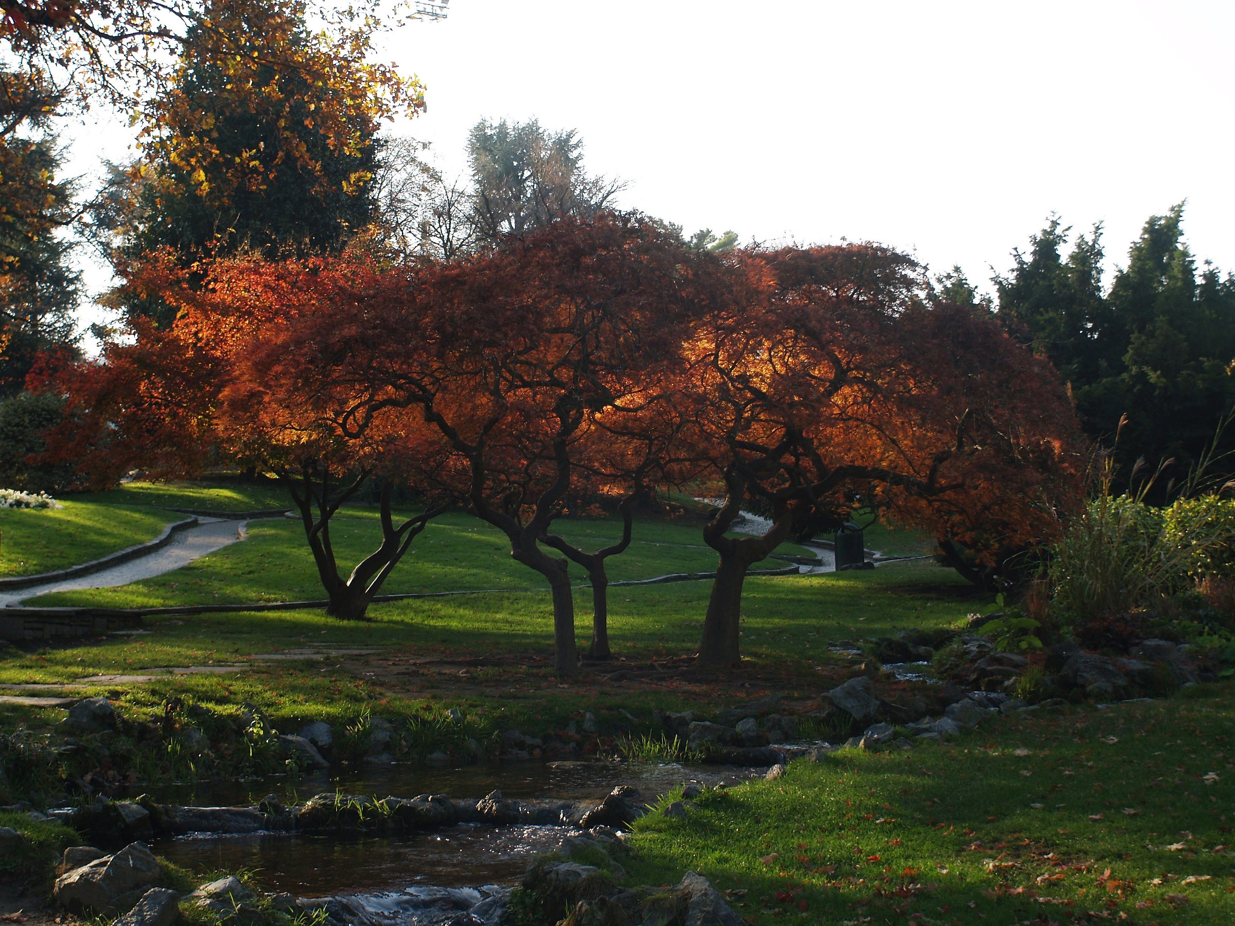 Torino   con vintage