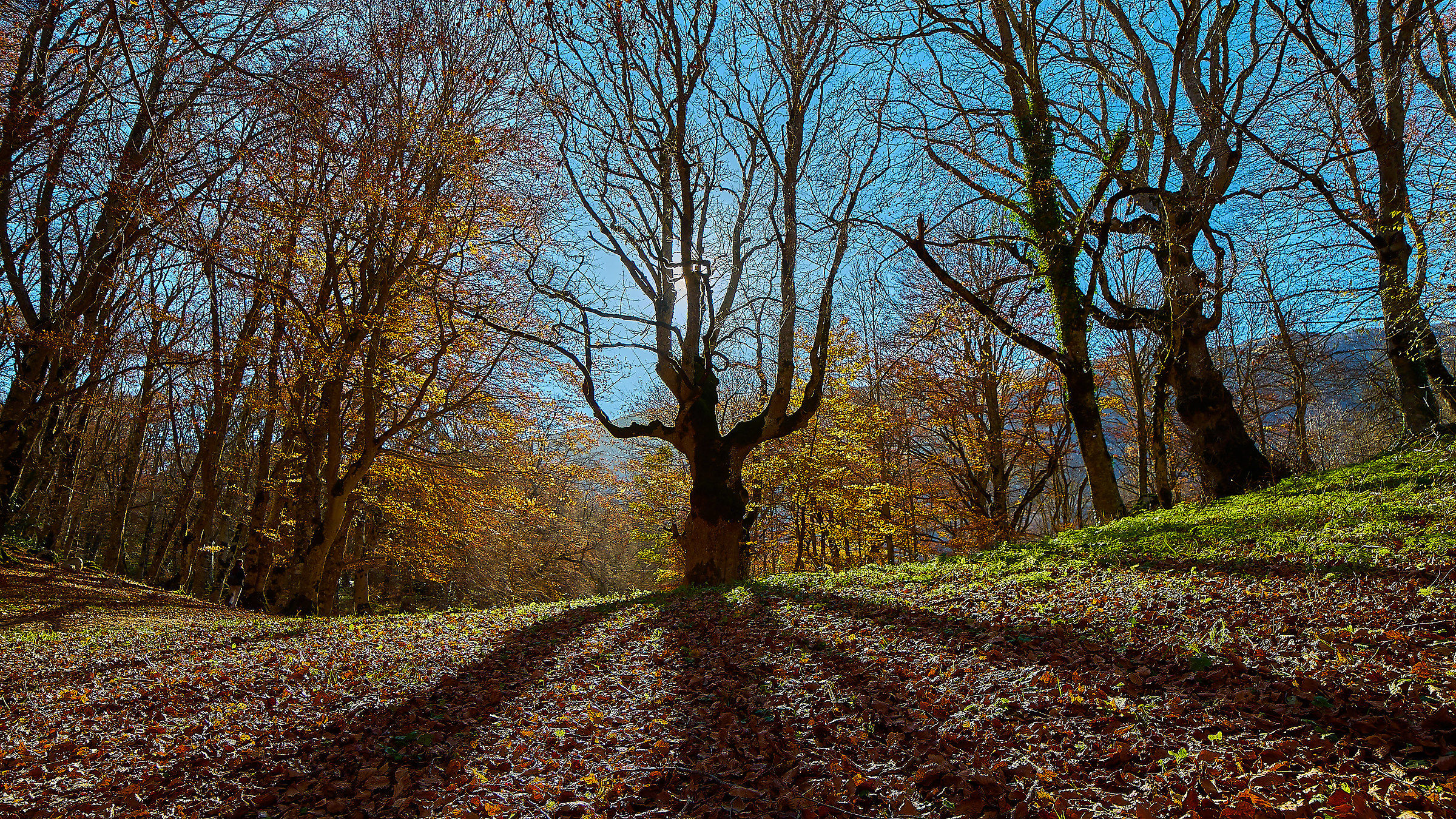 Lago della Duchessa (Ri)
