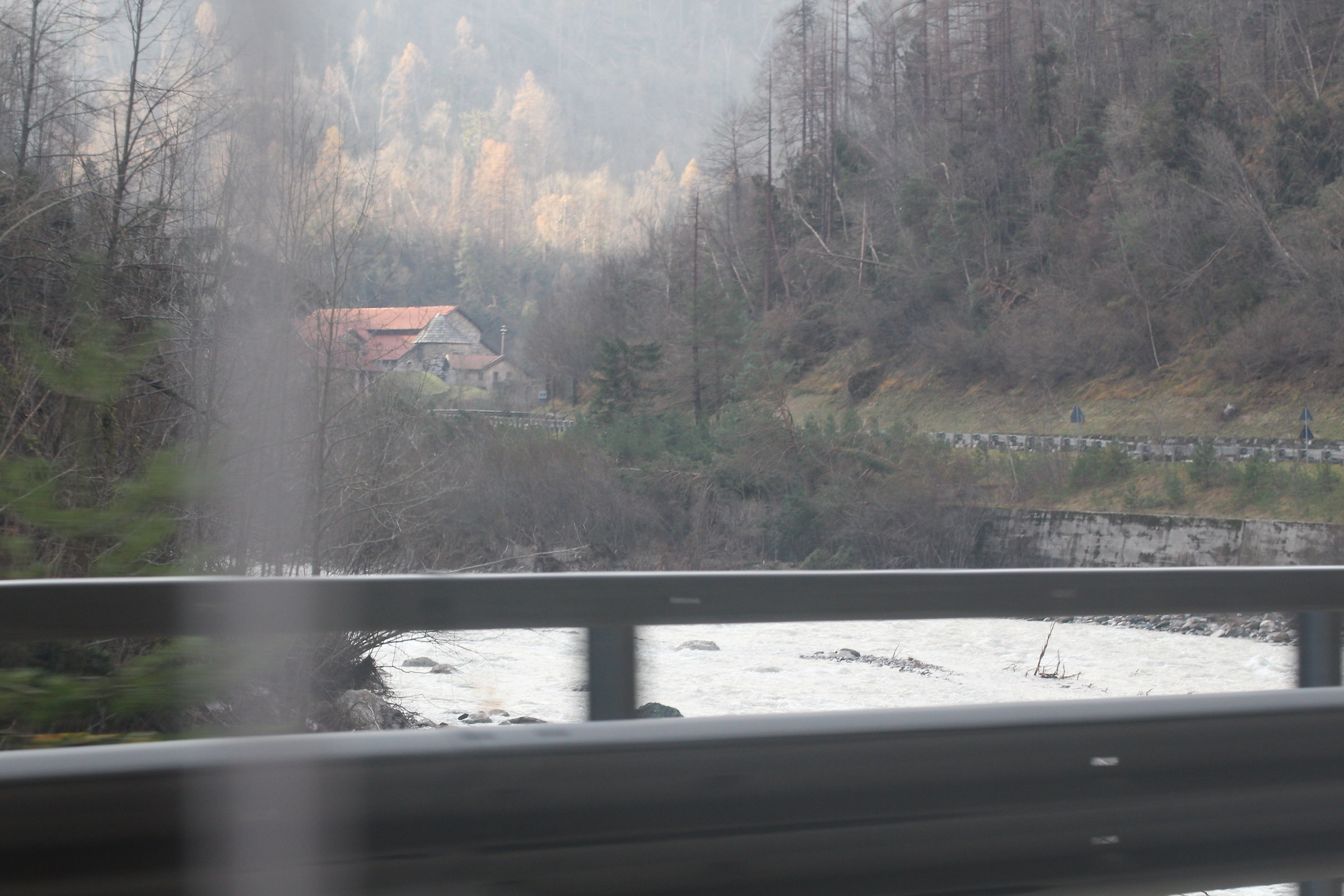 Torrente Cordevole con alberi abbattuti