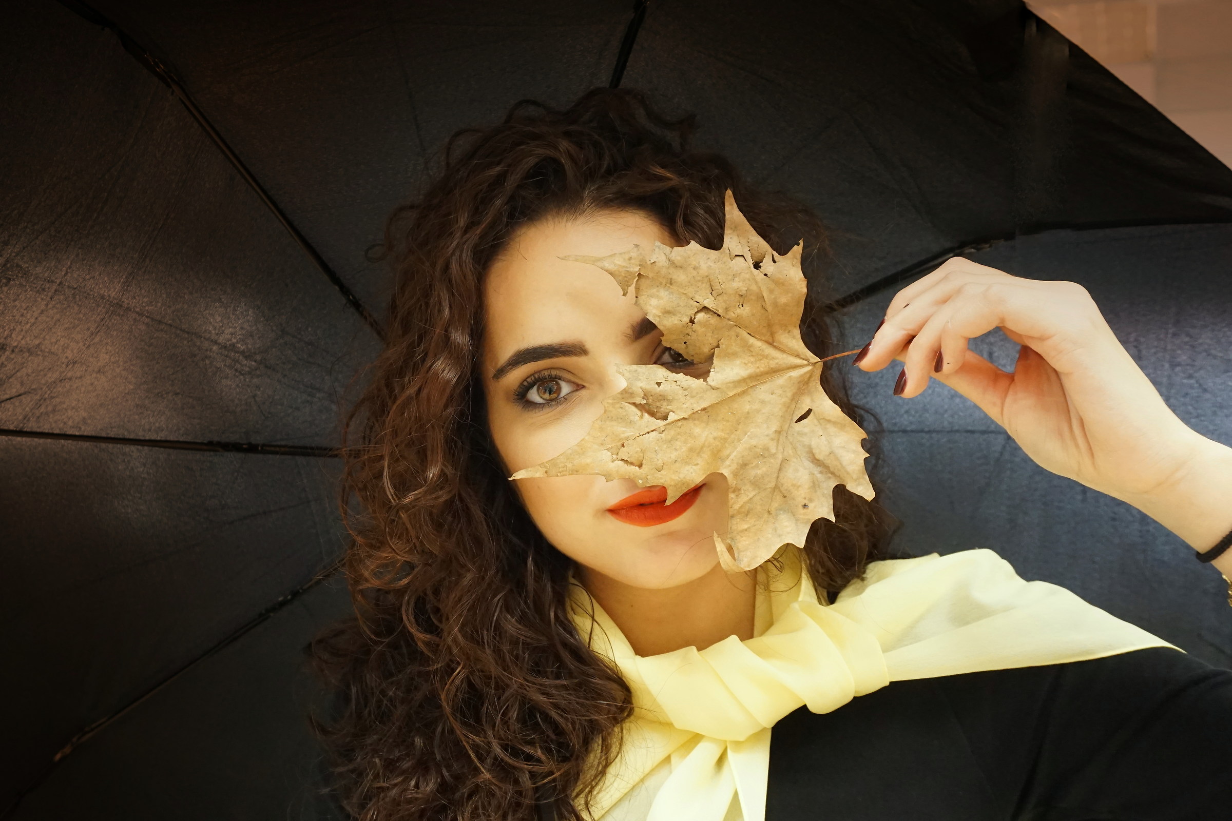 Autumn: Leaves and rain