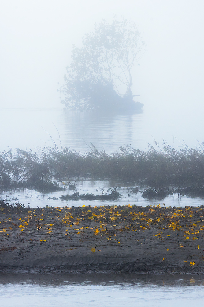 lontano dall'autunno