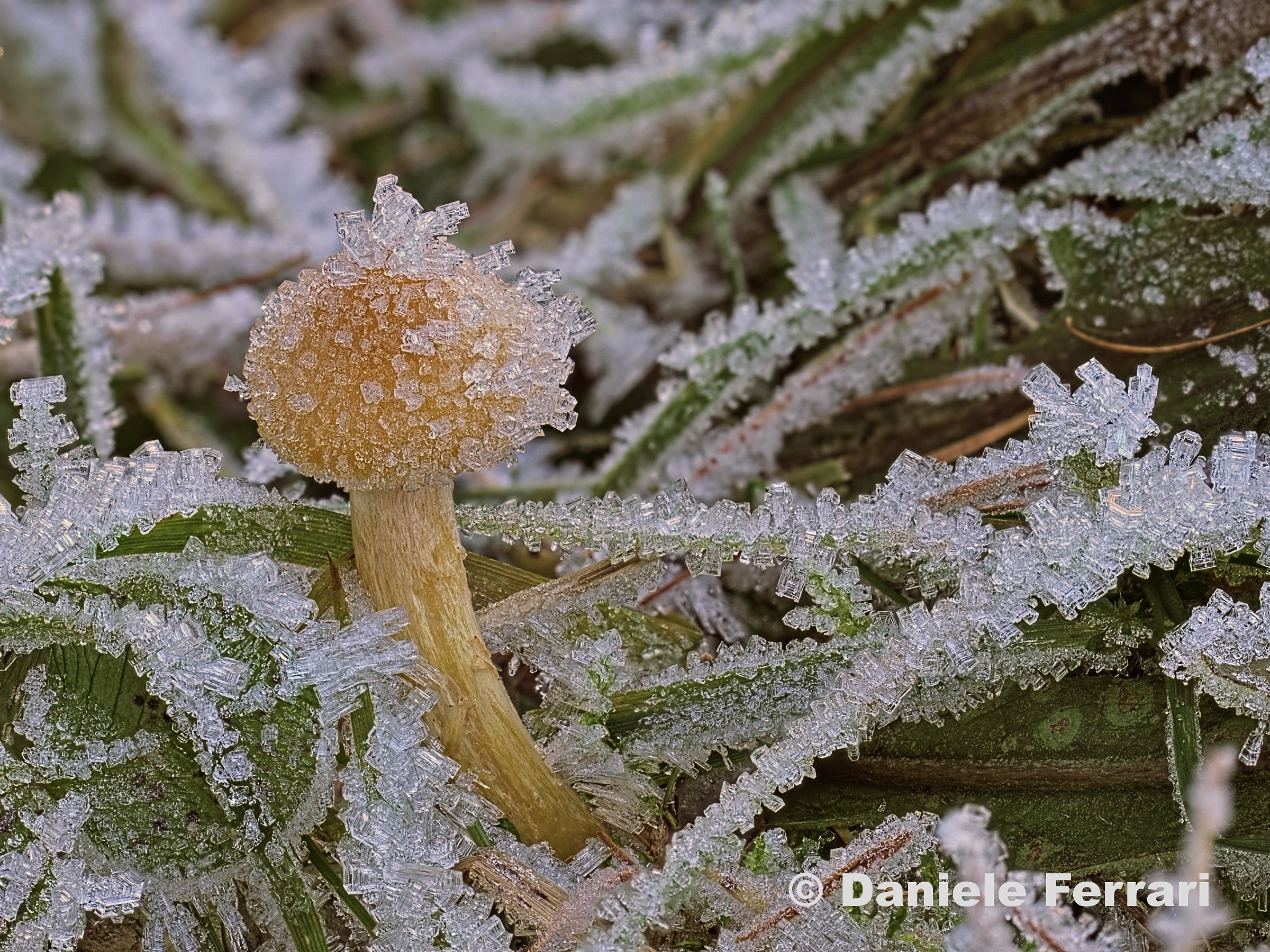 Illusione di ricchezza